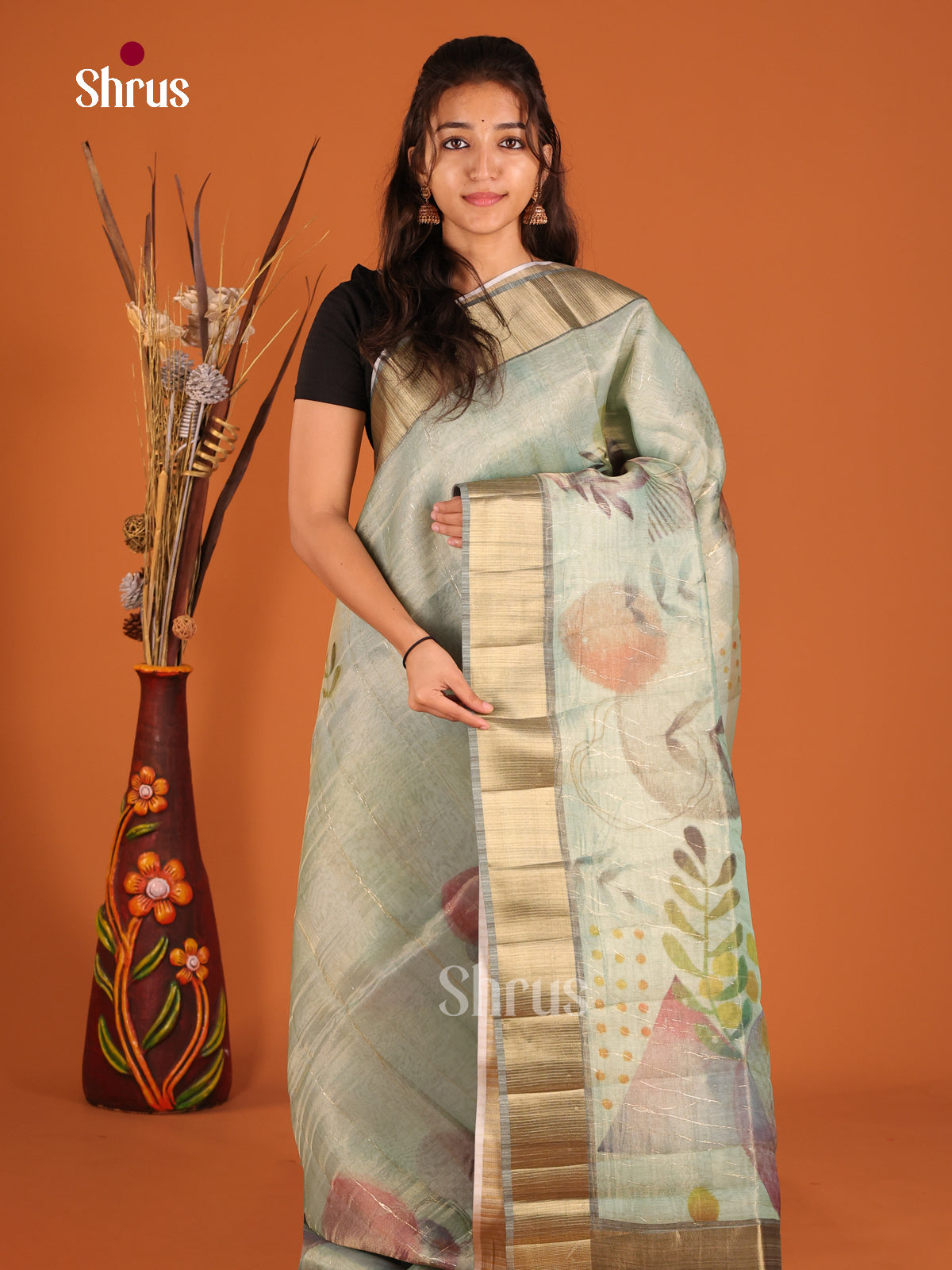 Pastel Green & Grey - Semi Organza Saree