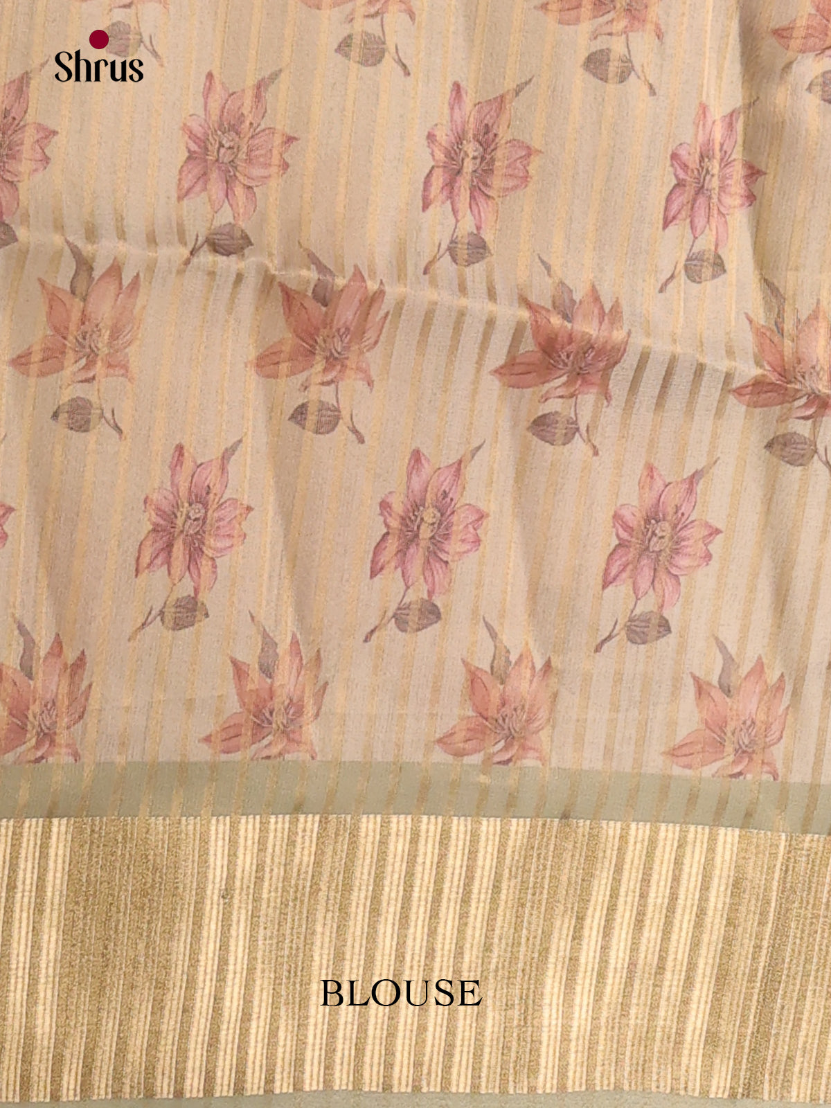 Grey Green - Semi Organza Saree