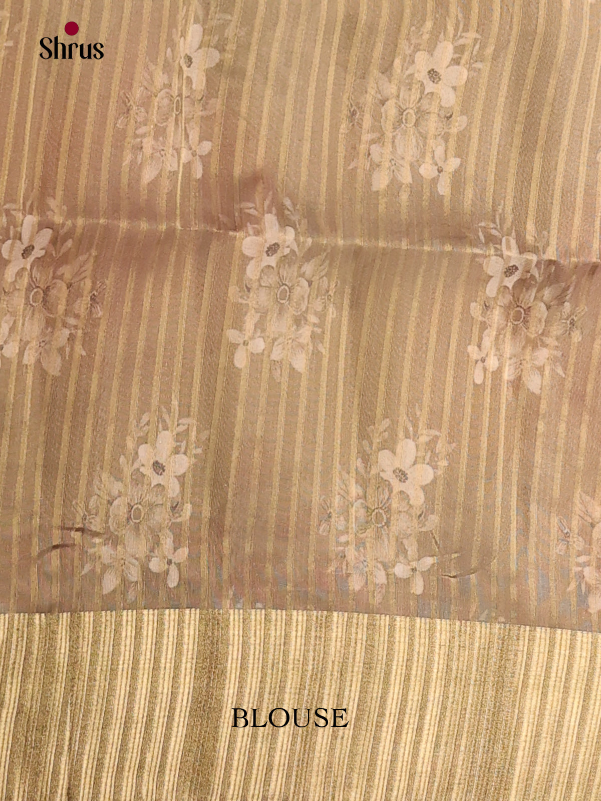 Cream & Grey - Semi Organza Saree