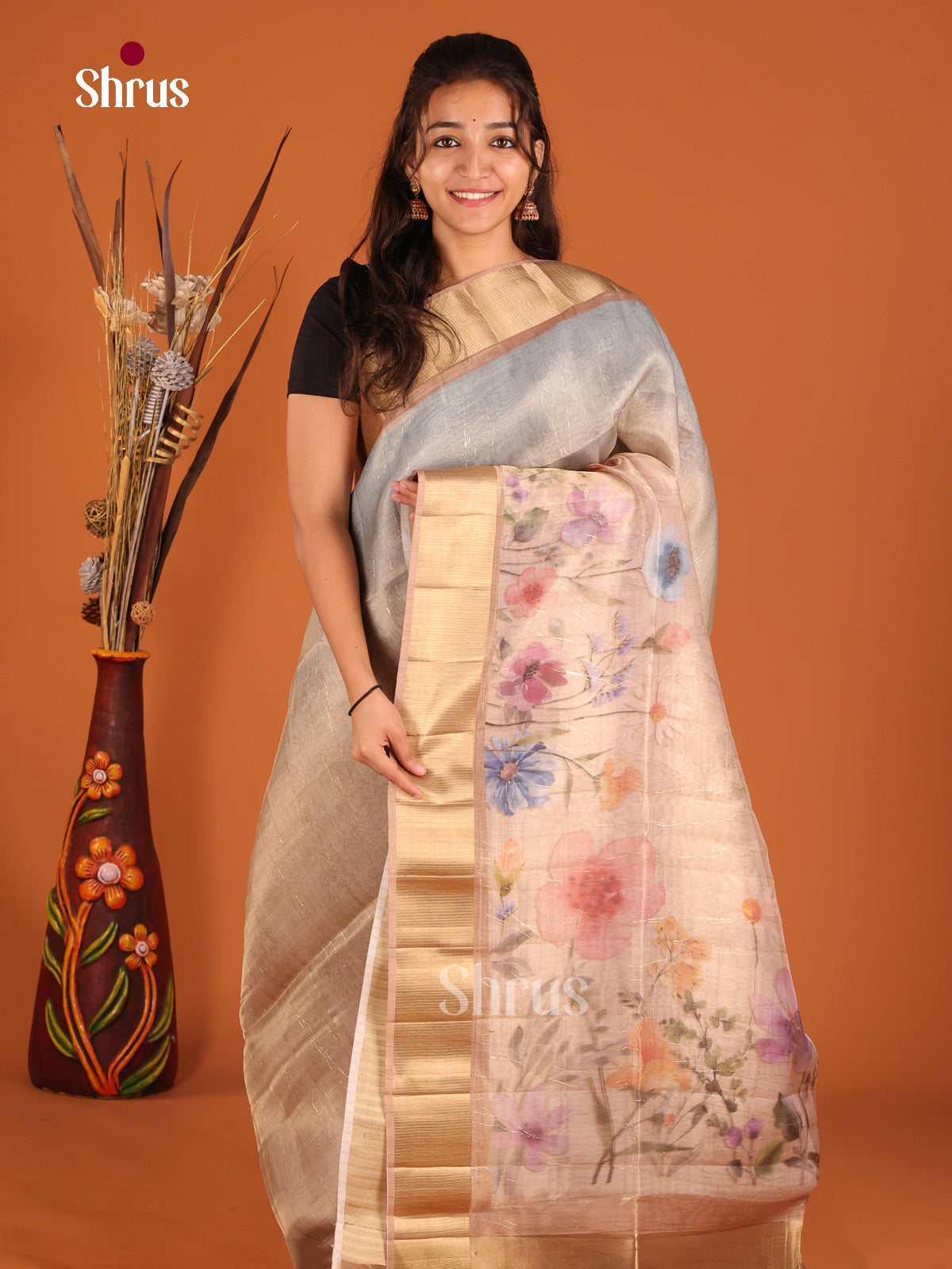 Dusty Brown - Semi Organza Saree