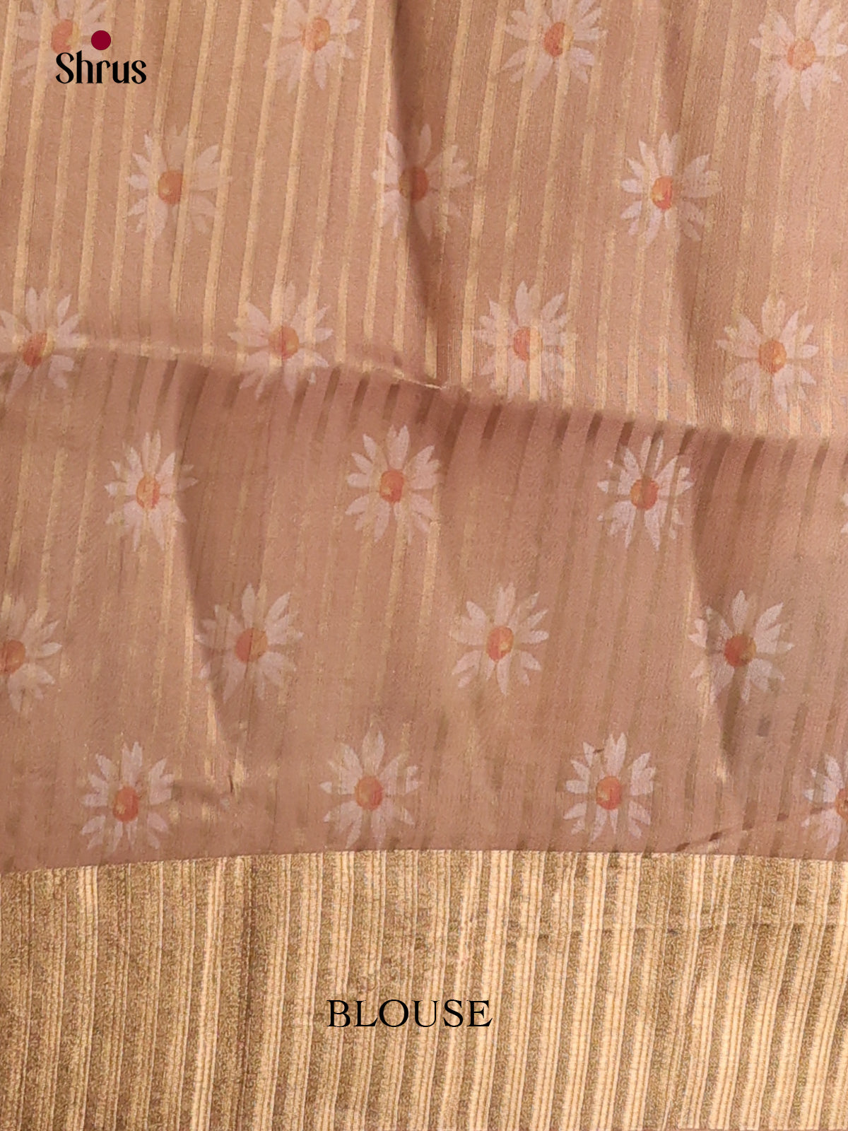 Dusty Brown - Semi Organza Saree