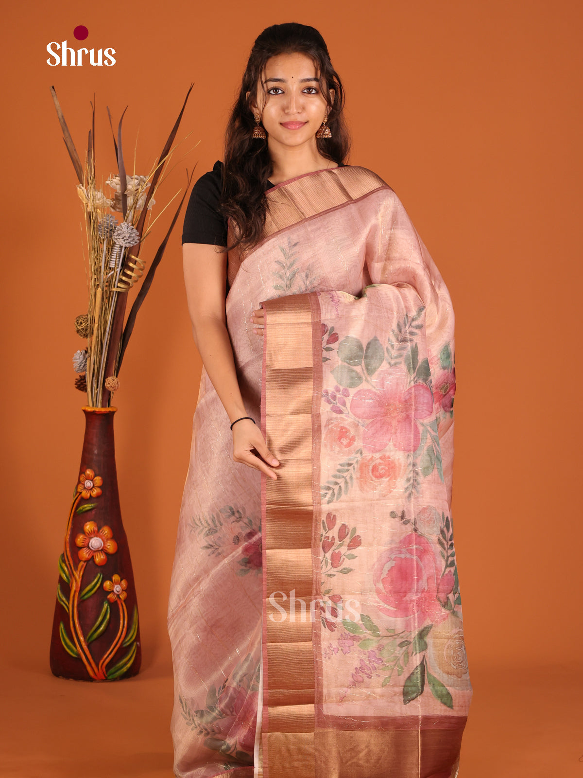 Dusty Brown - Semi Organza Saree - Shop on Shrus.com