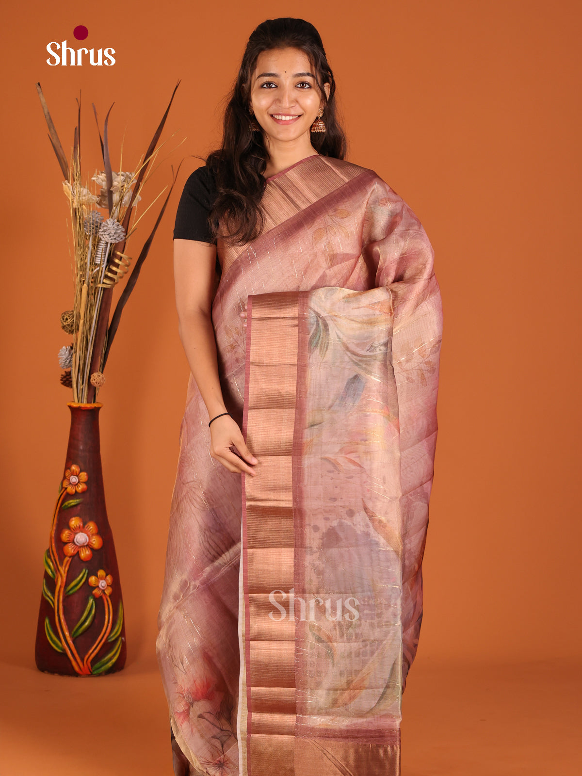Brown - Semi Organza Saree
