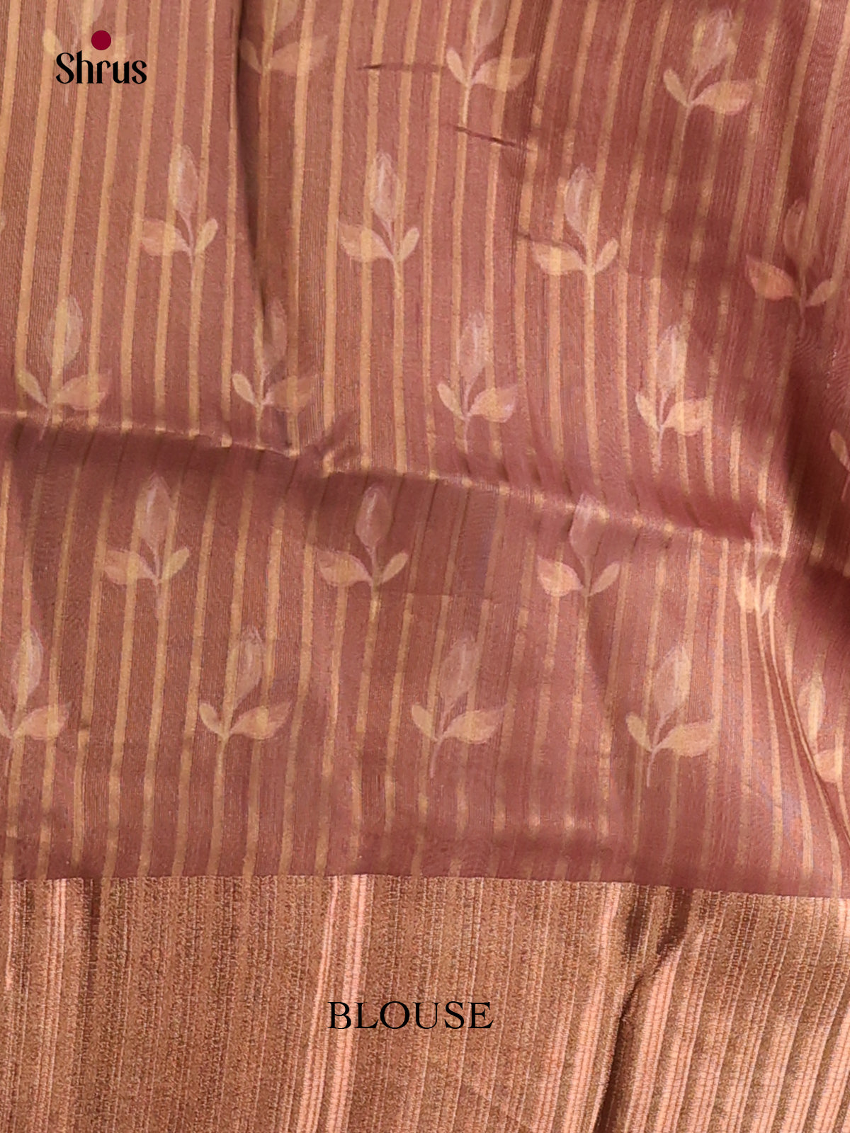 Brown - Semi Organza Saree