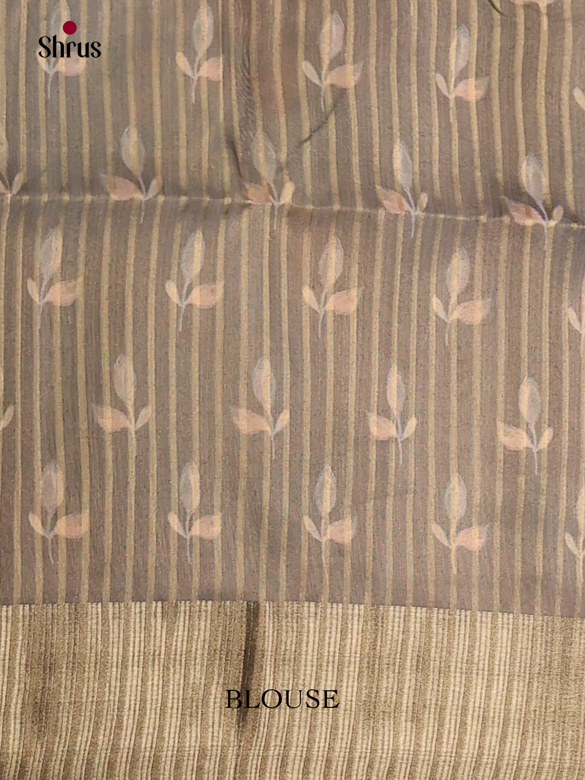 Grey - Semi Organza Saree