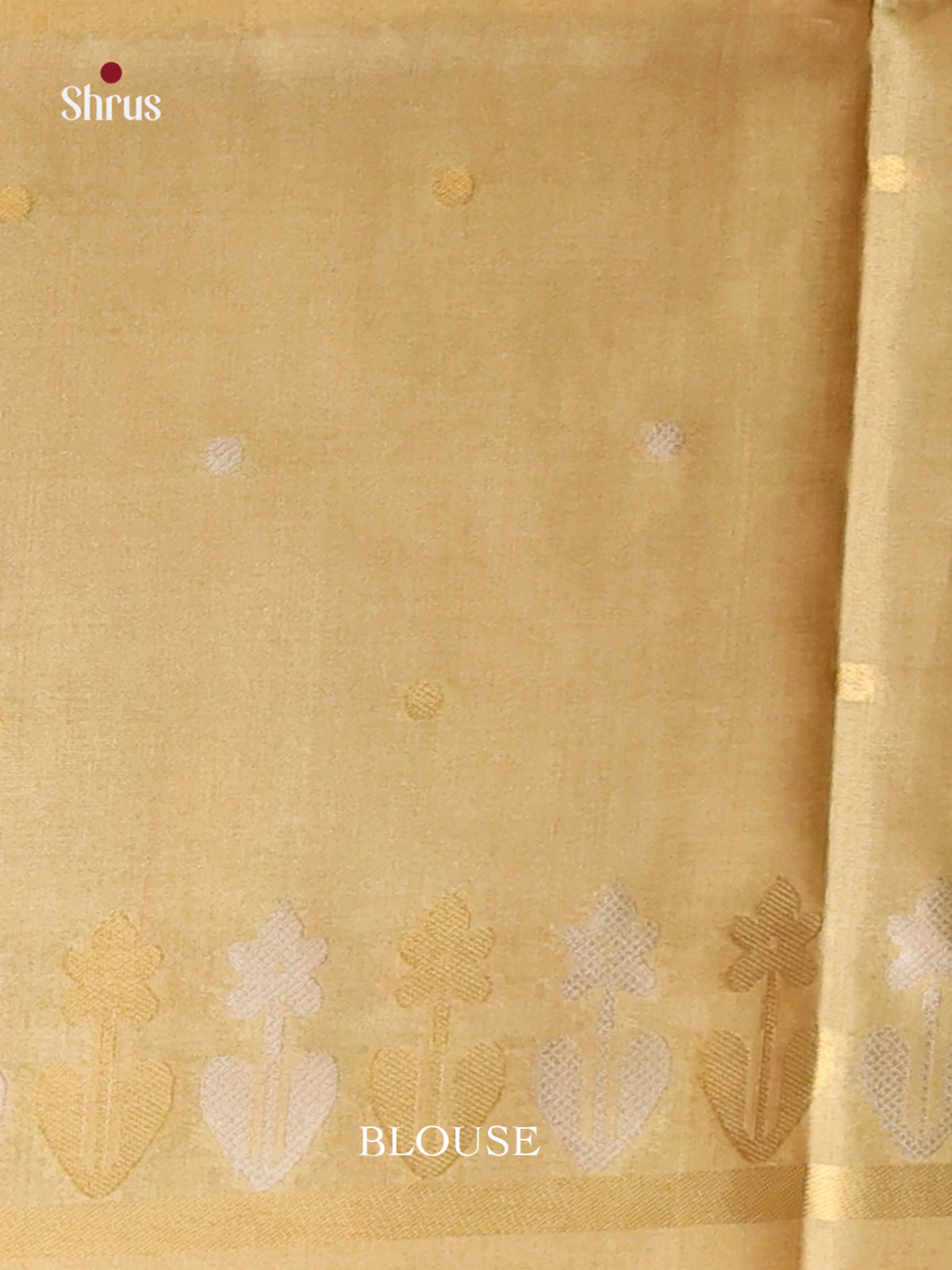 DHS23097 - Semi Tussar Saree - Shop on Shrus.com