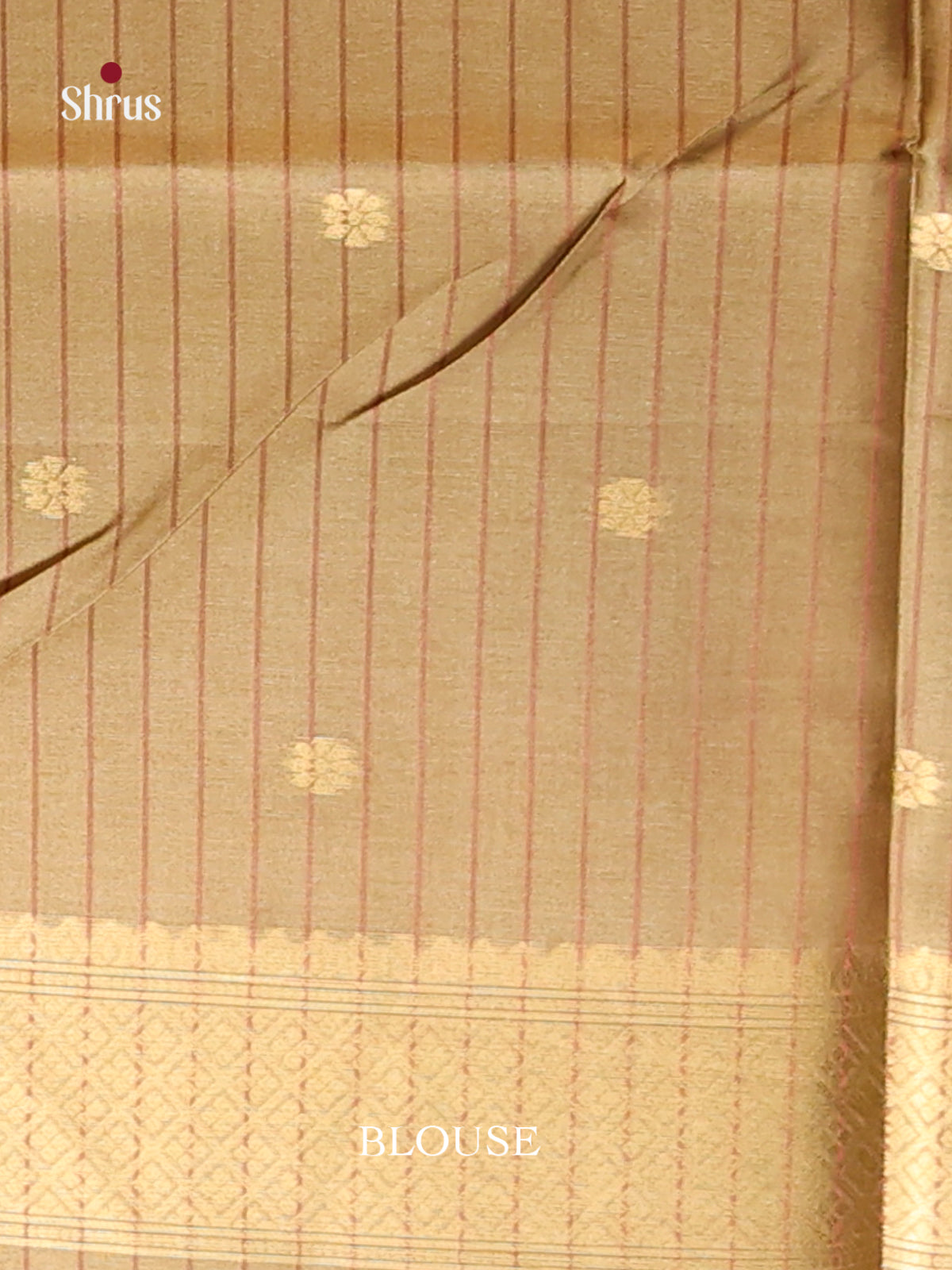 DHS23144 - Semi Tussar Saree - Shop on Shrus.com