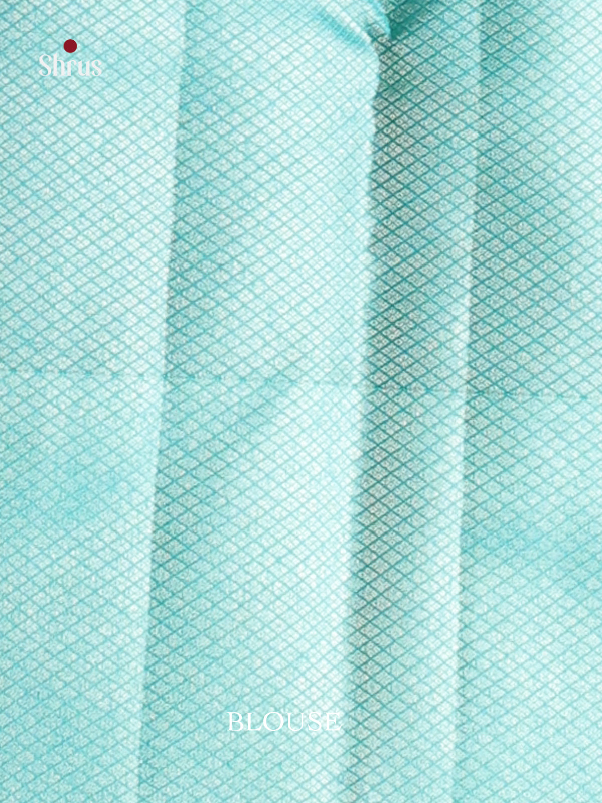 Chic Pastel Green Kanjivaram silk Saree with Floral brocade Body & Sky Blue Border -2