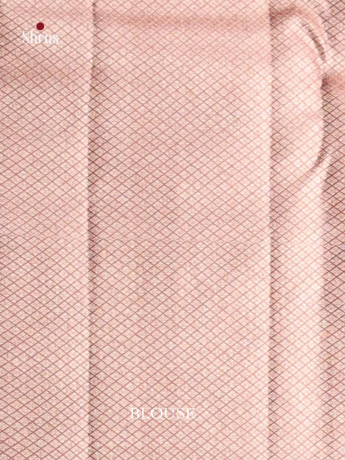 Cream & Brown Kanchipuram silk Saree with zari floral nestling Brocade -2