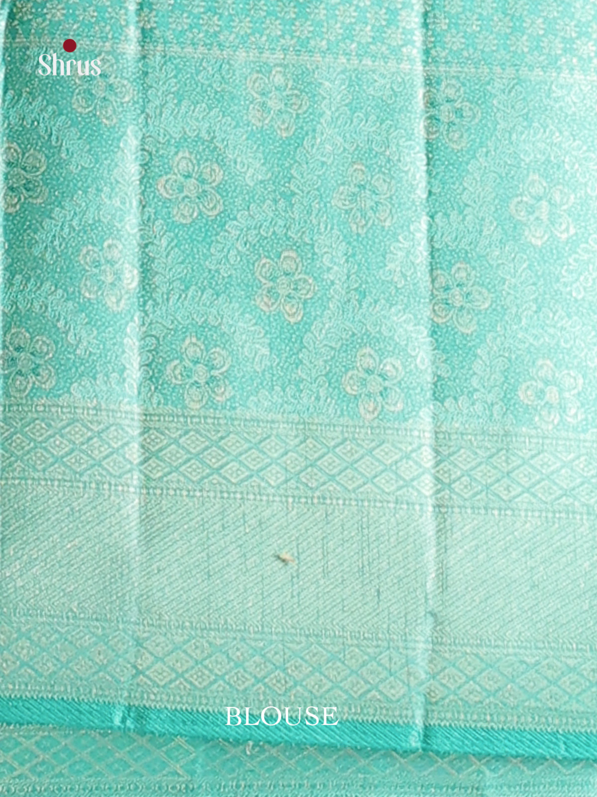 Light Green & Sky Blue  Kanchipuram silk Saree with zari criss cross brocade -2