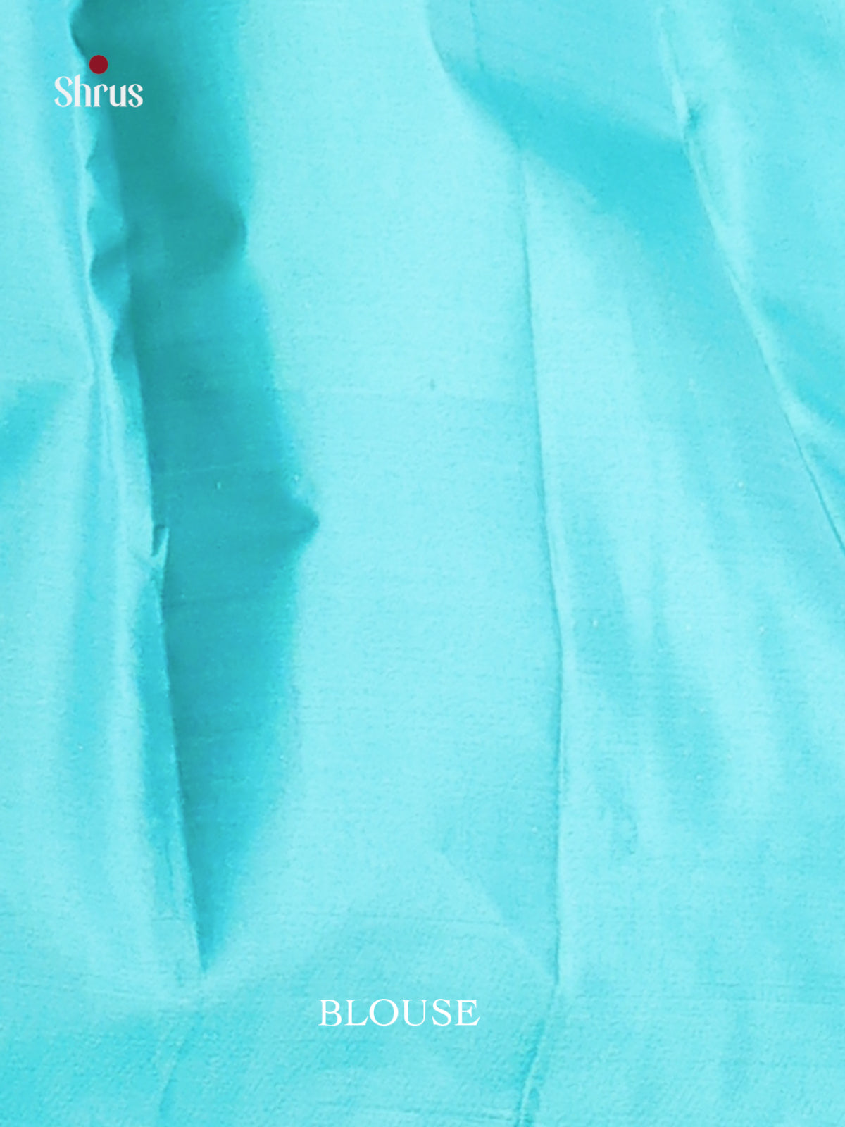 Light Green & Blue Kanchipuram silk Saree gleams with zari brocade -2