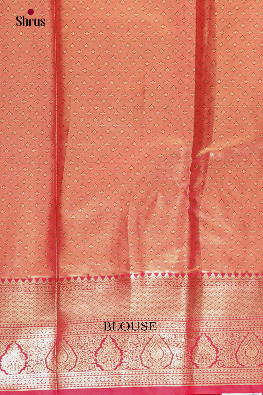 Pastel Blue & Red -  Kanchipuram-halfpure Saree 2