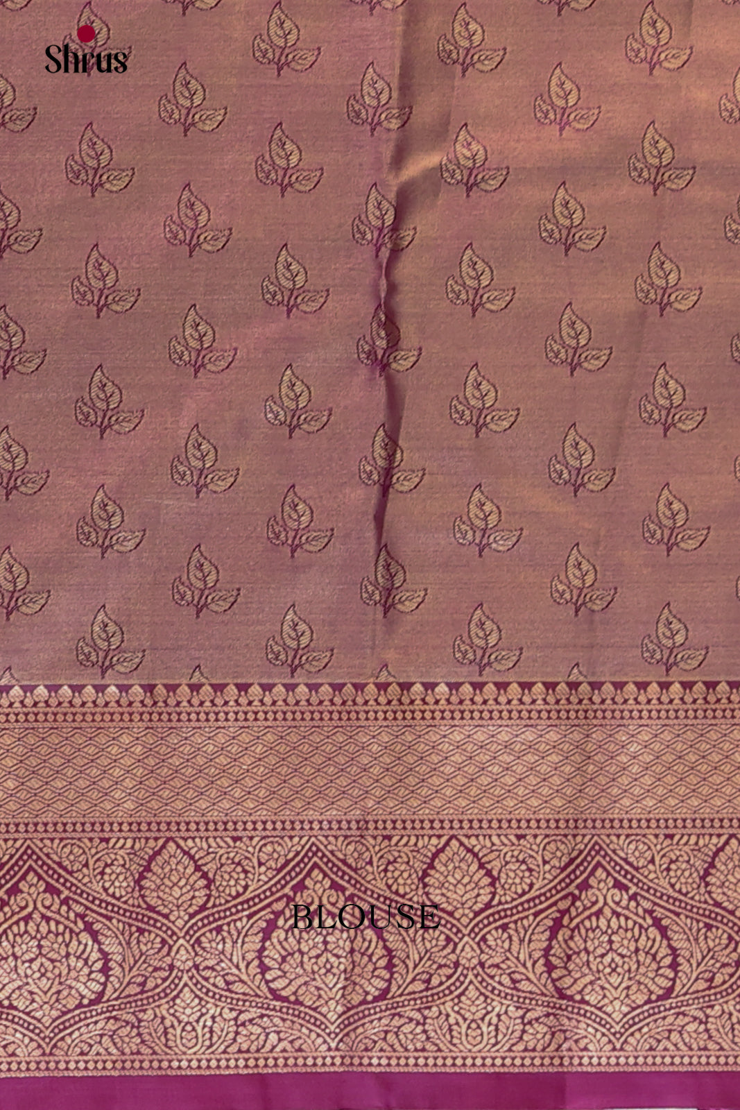 Cream & Purple - Kanchipuram-halfpure Saree - Shop on Shrus.com
