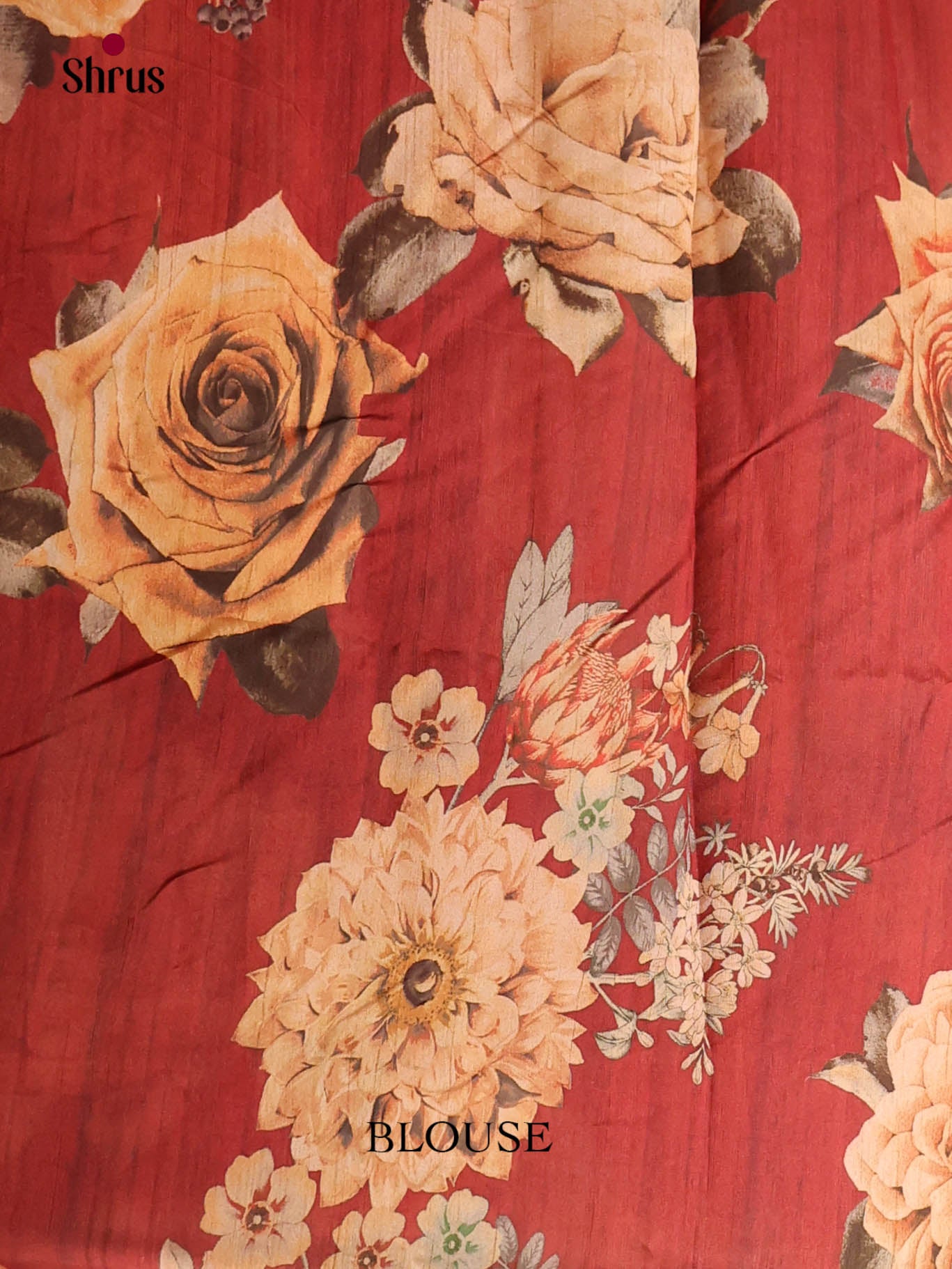 Cream & Red - Moonga Silk Saree