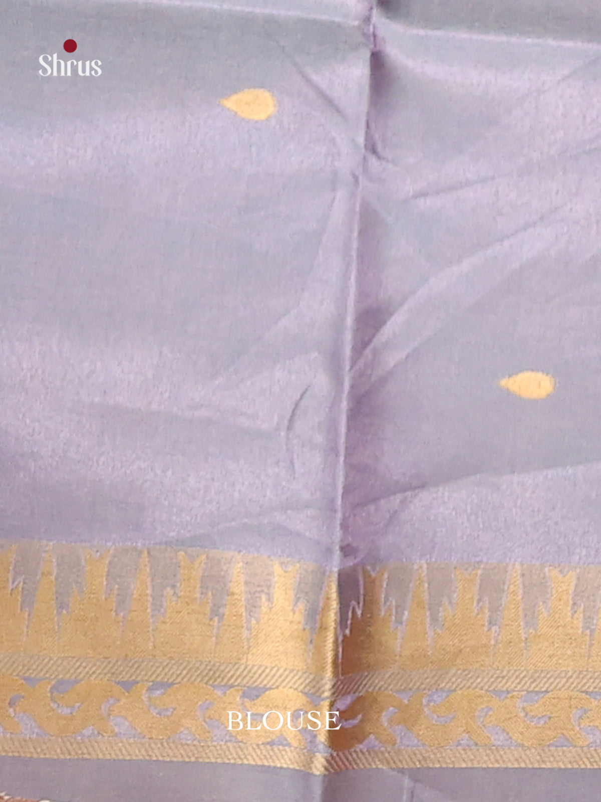 Brown & Blue- Semi Tussar Saree