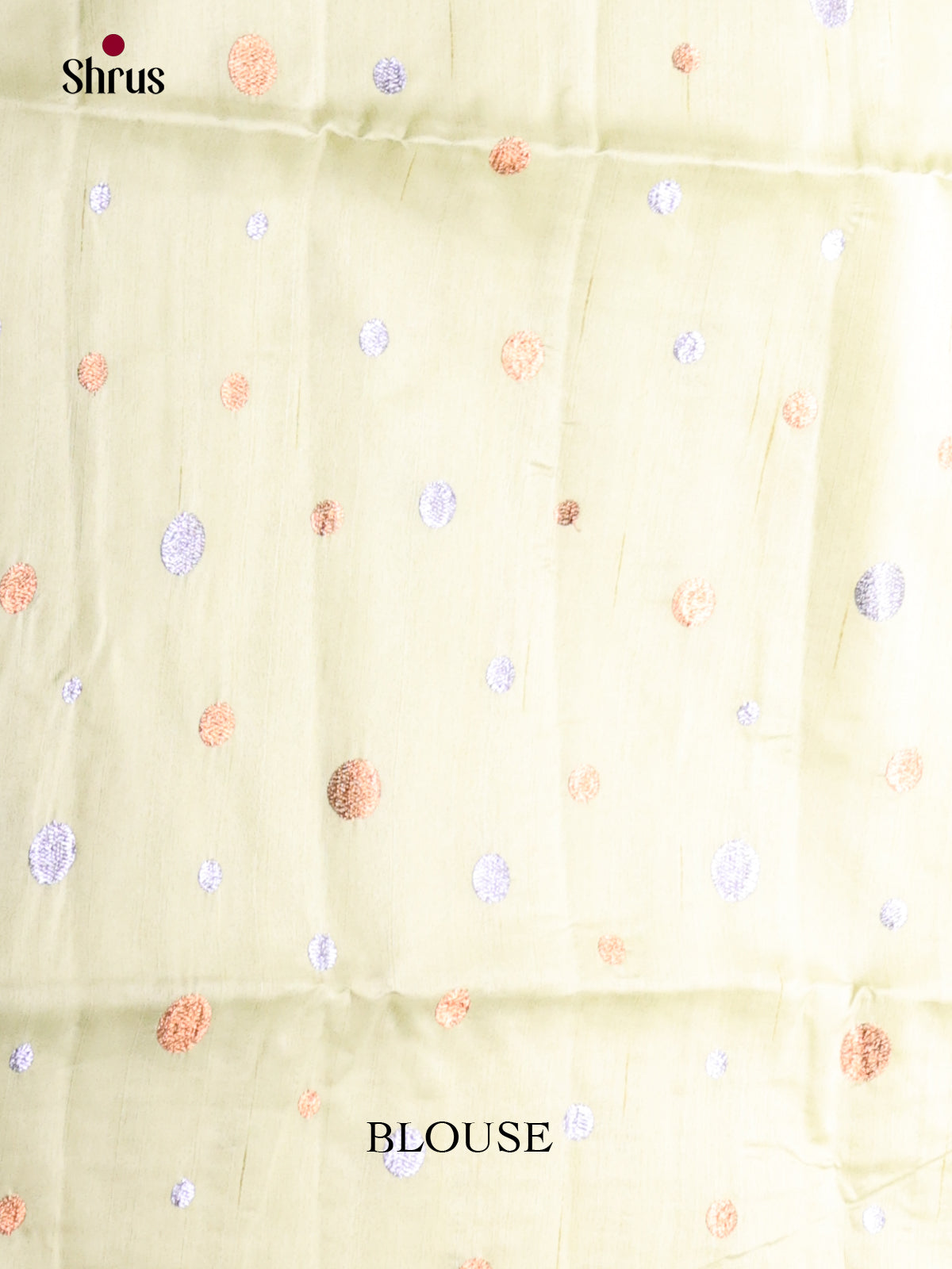 Pastel Green- Semi Rawsilk Saree - Shop on Shrus.com