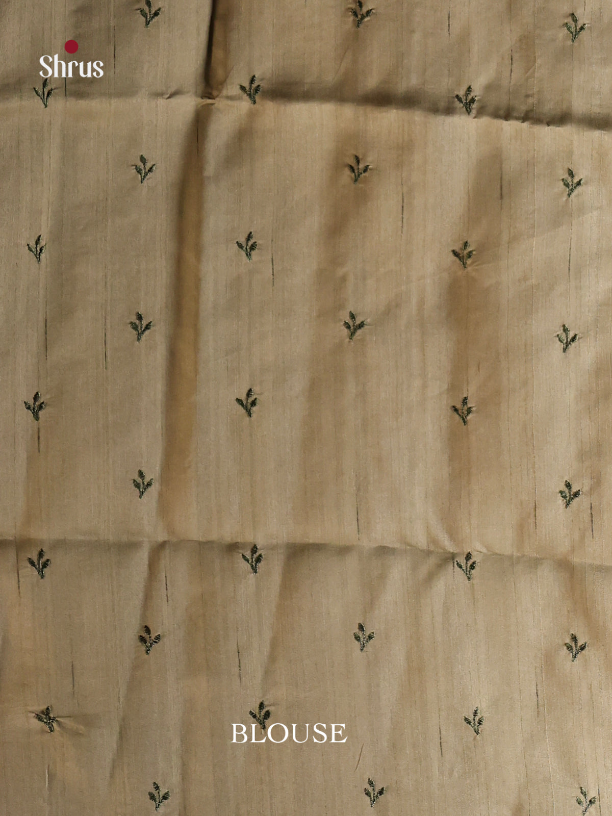 Chutney Green - Semi Rawsilk Saree