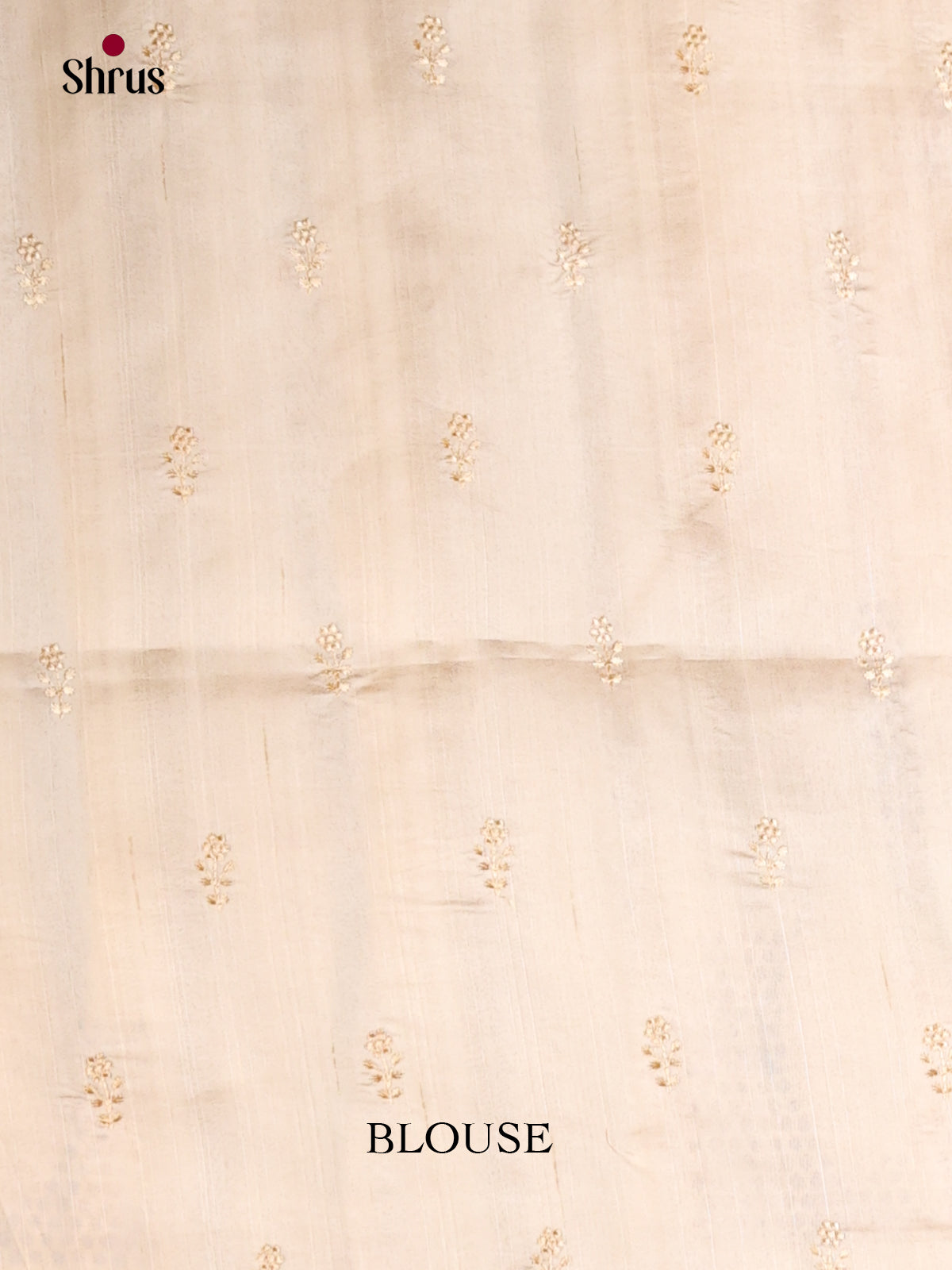 Cream - Semi Rawsilk Saree - Shop on Shrus.com
