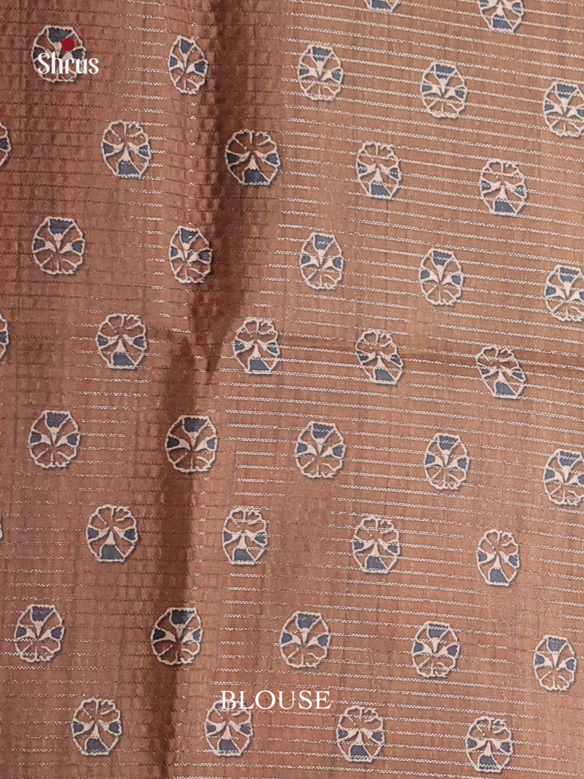Brown & Cream  - Semi Tussar Saree