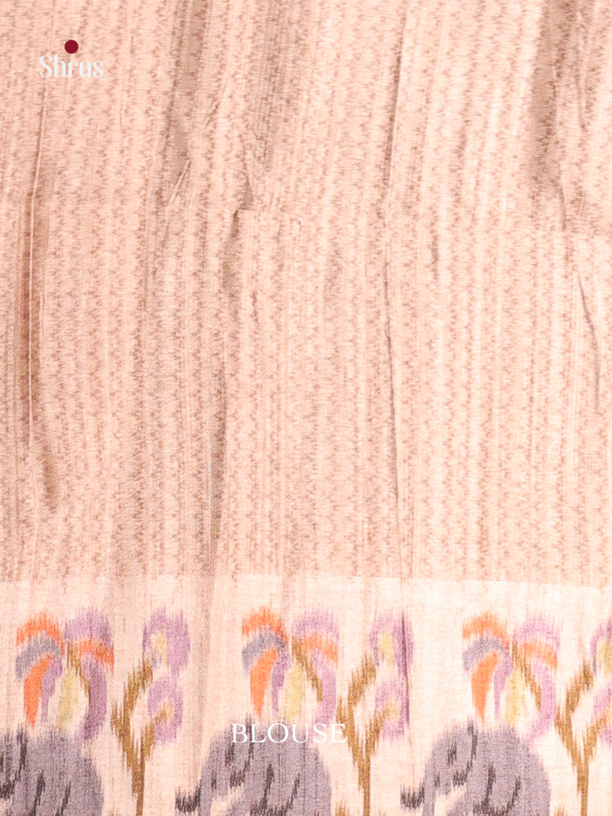 Grey & Cream - Moonga Silk Saree