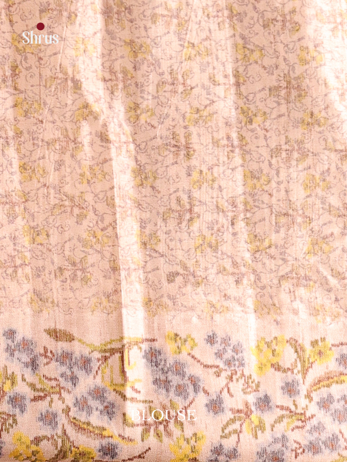 Grey & Cream- Moonga Silk Saree