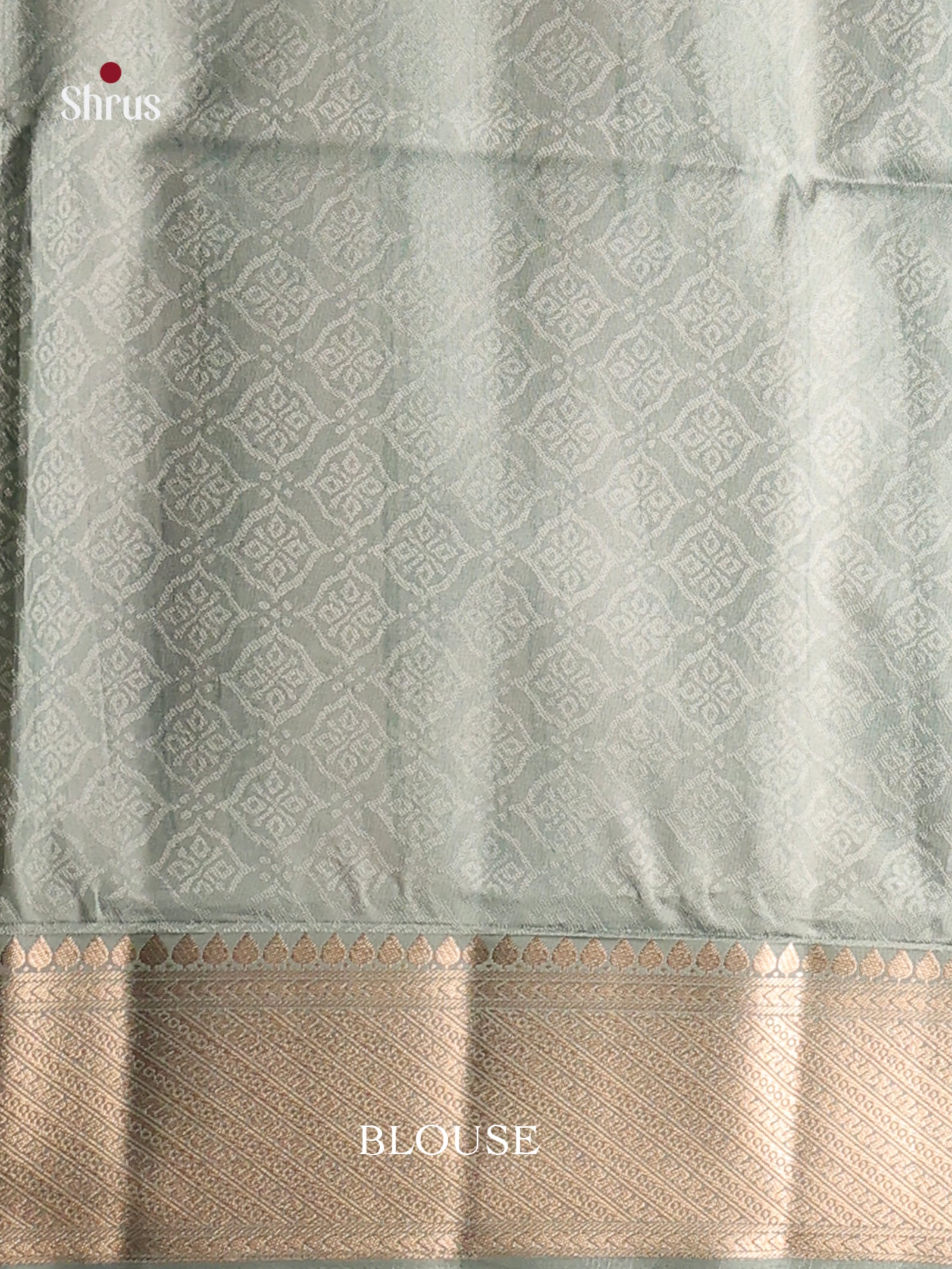 DHS25445 - Printed Semi Tussar Saree