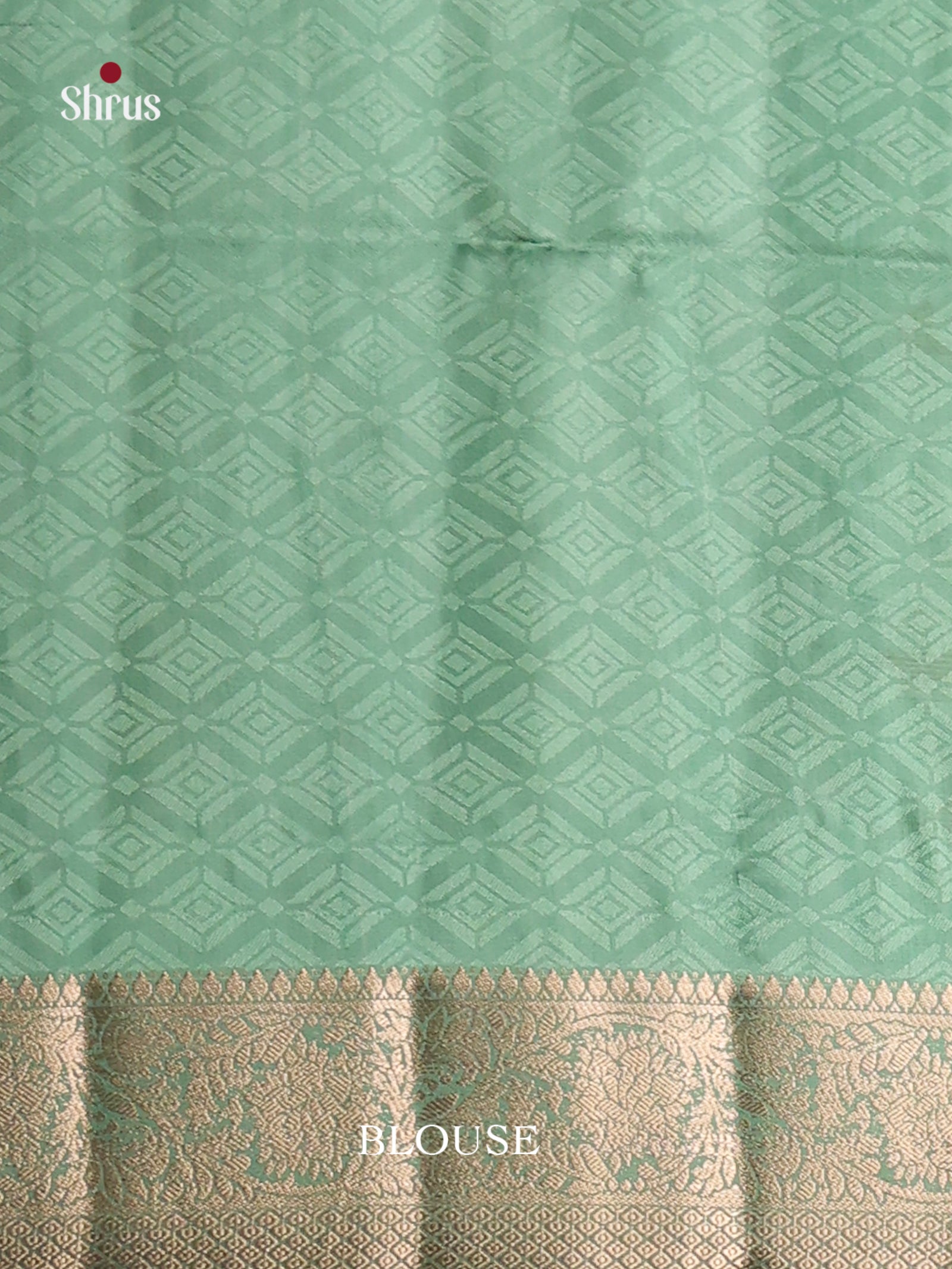 DHS25449 - Printed Semi Tussar Saree