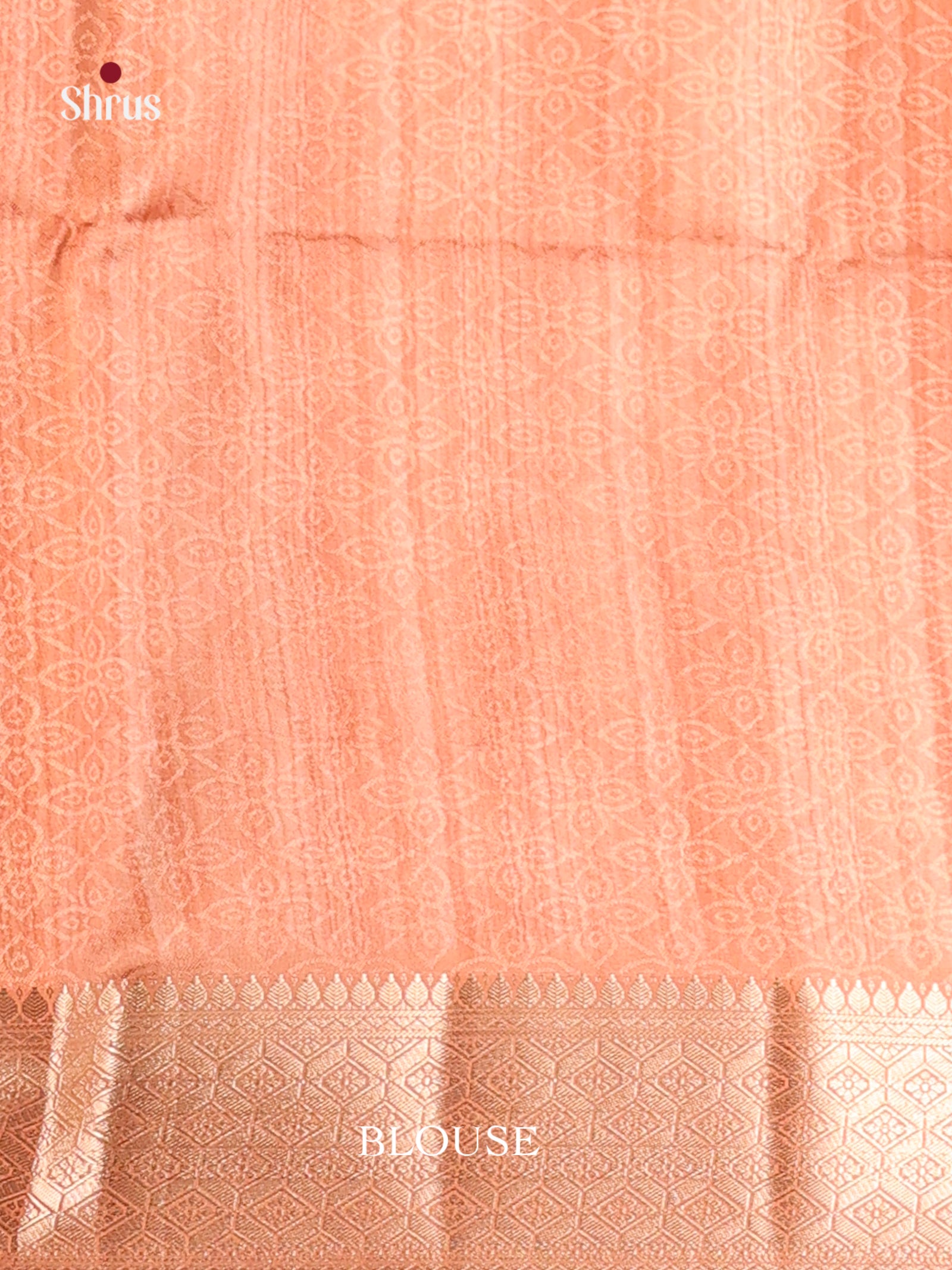 DHS25478 - Printed Semi Tussar Saree - Shop on Shrus.com