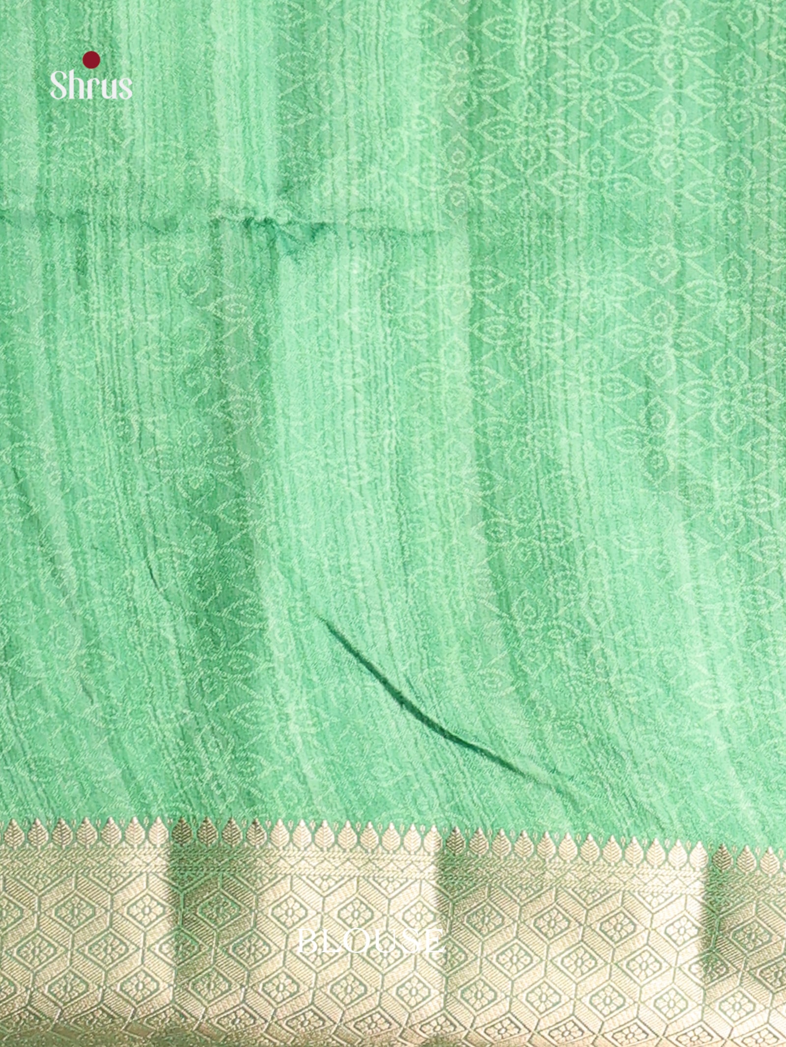 DHS25484 - Printed Semi Tussar Saree