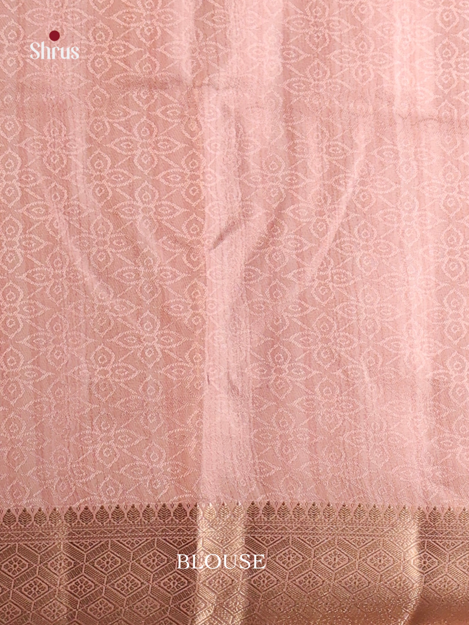 DHS25492 - Printed Semi Tussar Saree