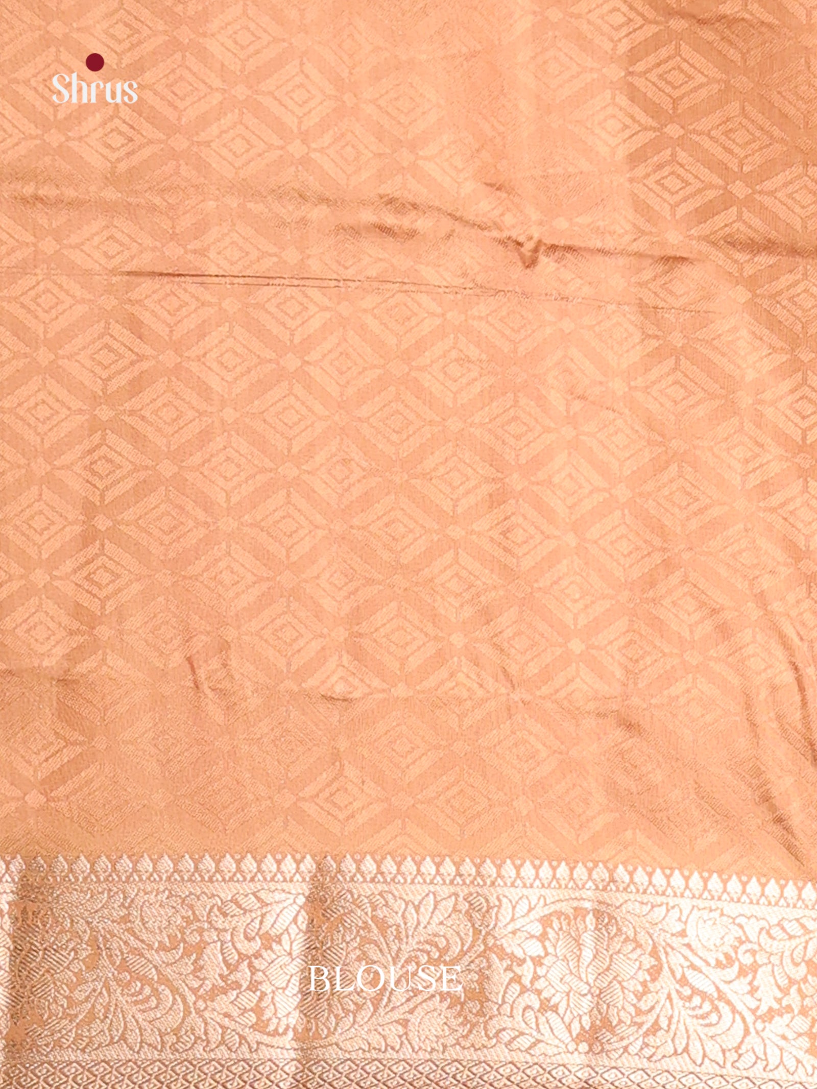 DHS25498 - Printed Semi Tussar Saree - Shop on Shrus.com