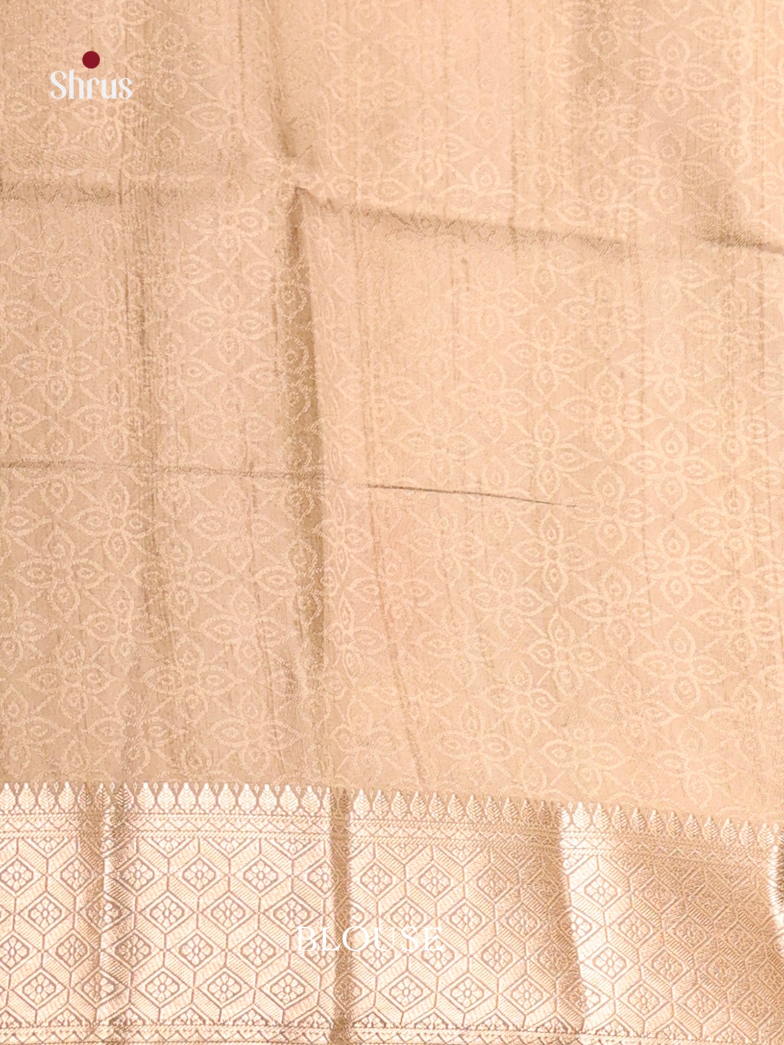 DHS25544 - Printed Semi Tussar Saree