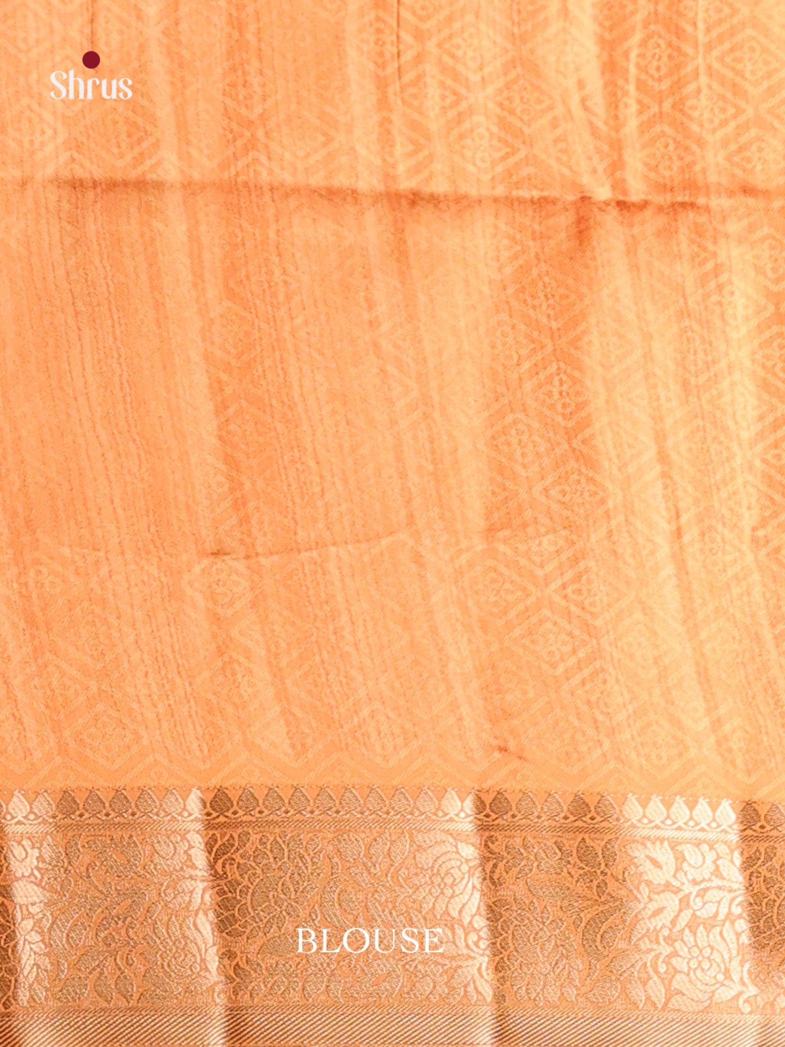 Cream & Brick- Printed Semi Tussar Saree