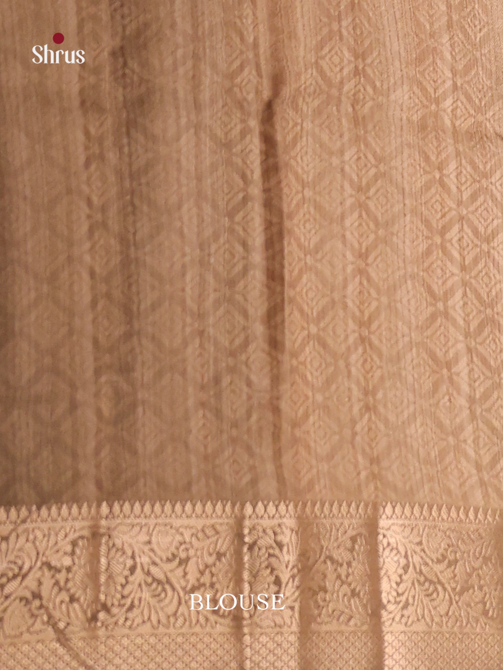 DHS25550 - Printed Semi Tussar Saree