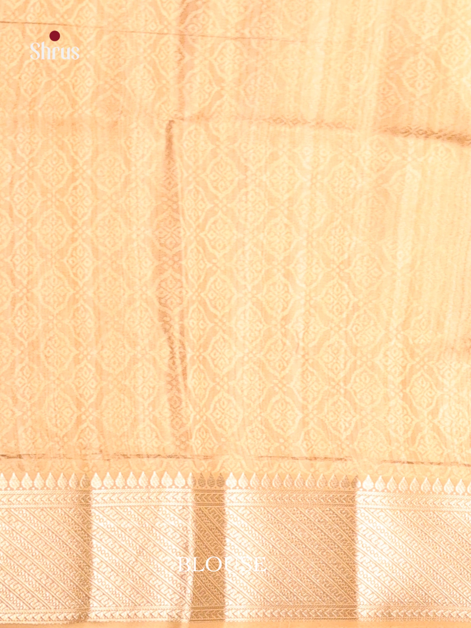 DHS25556 - Printed Semi Tussar Saree