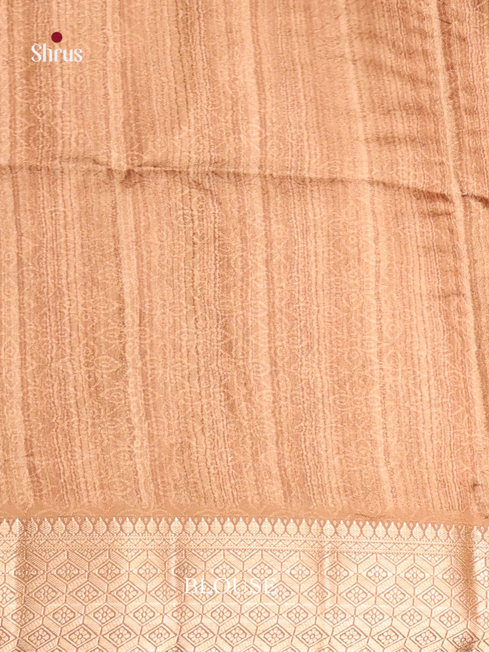 DHS25563 - Printed Semi Tussar Saree