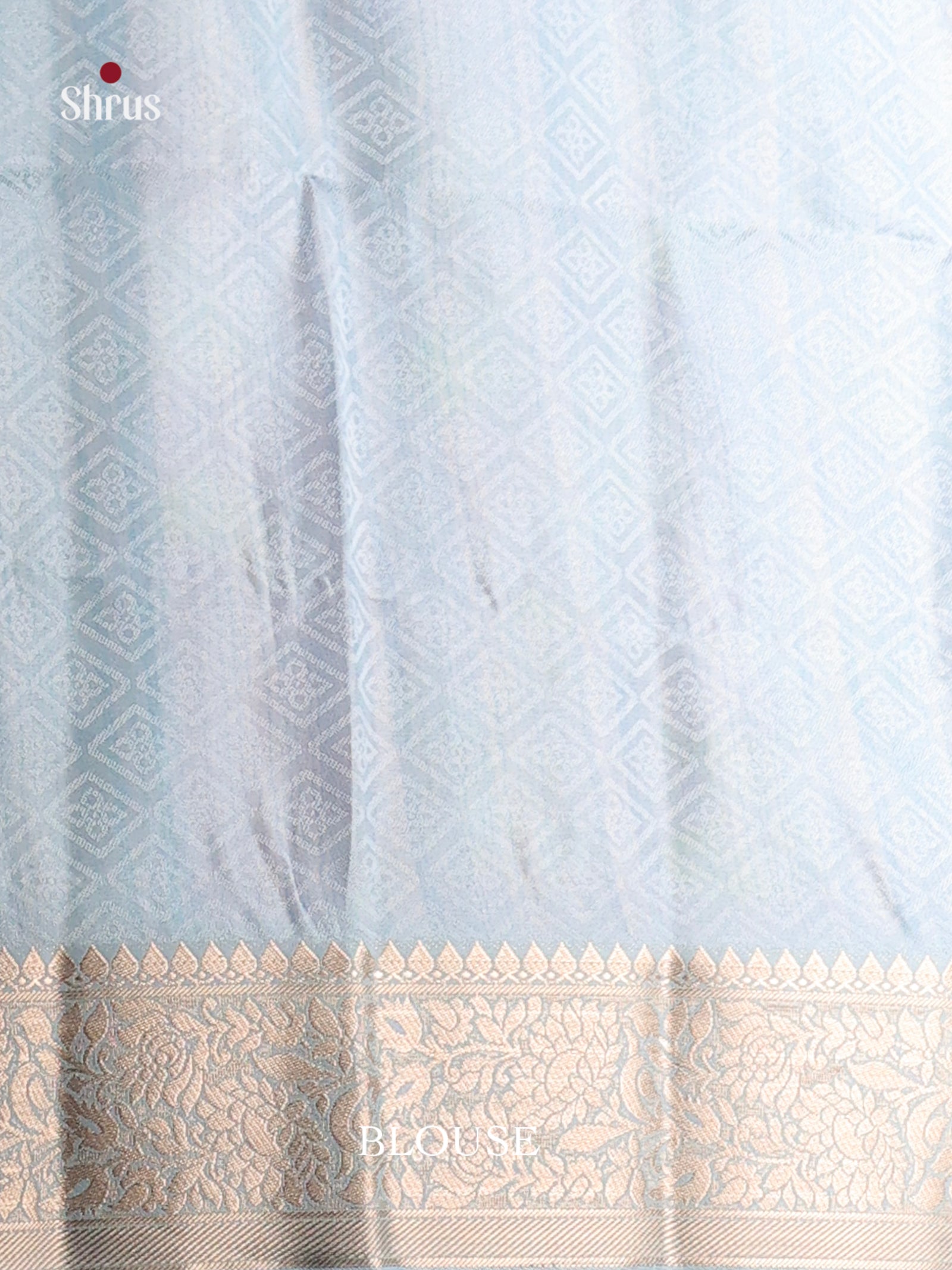 DHS25566 - Printed Semi Tussar Saree