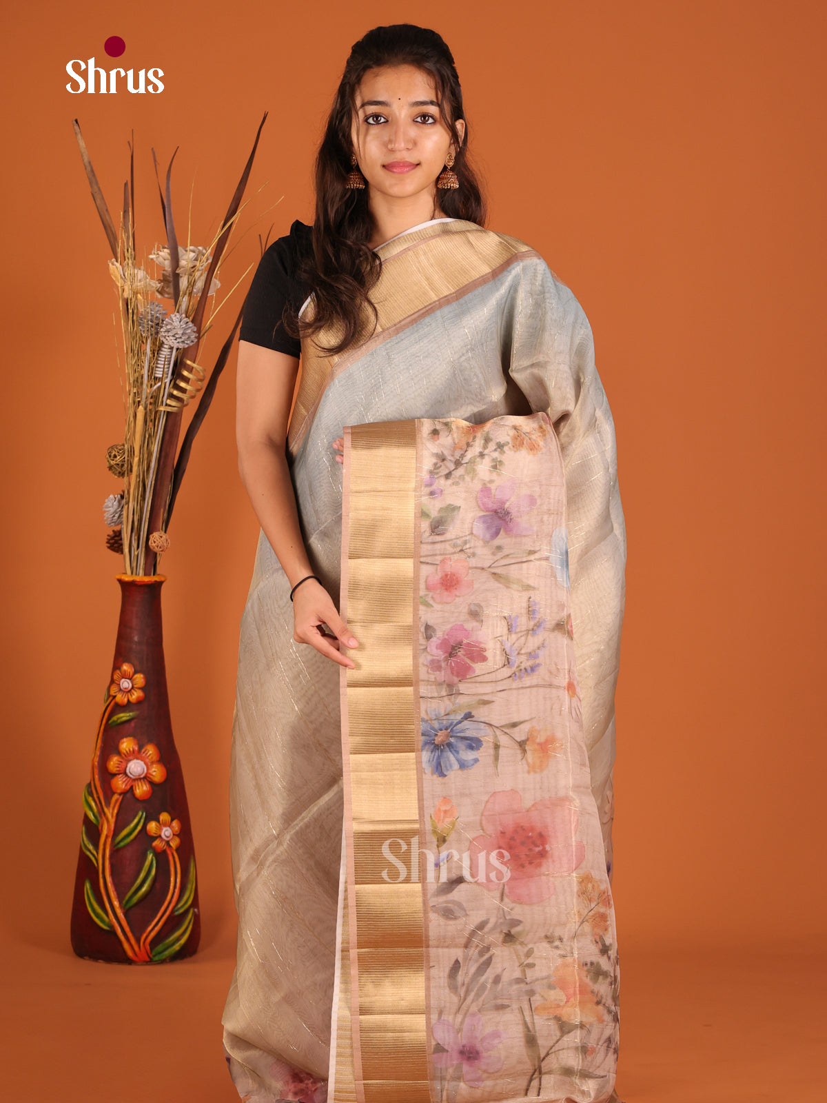 Grey & Brown - Semi Organza Saree
