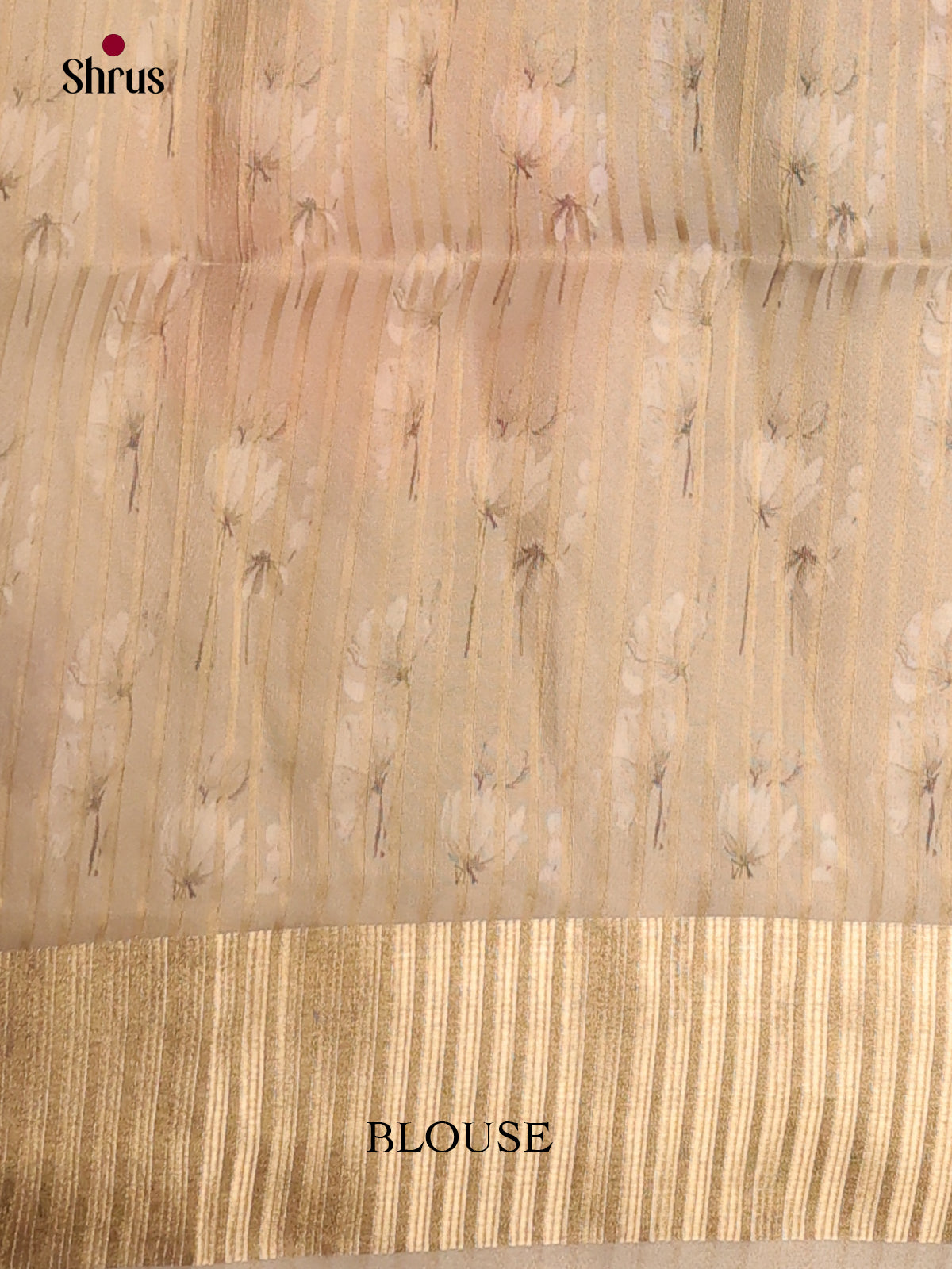 Cream & Grey- Semi Organza Saree