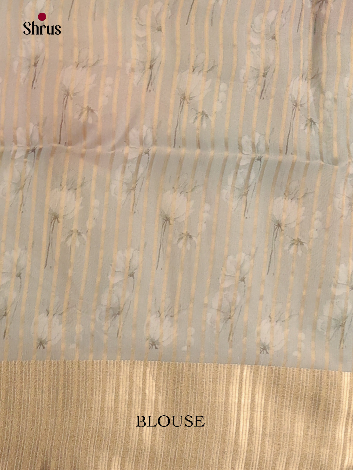 Pastel Green - Semi Organza Saree