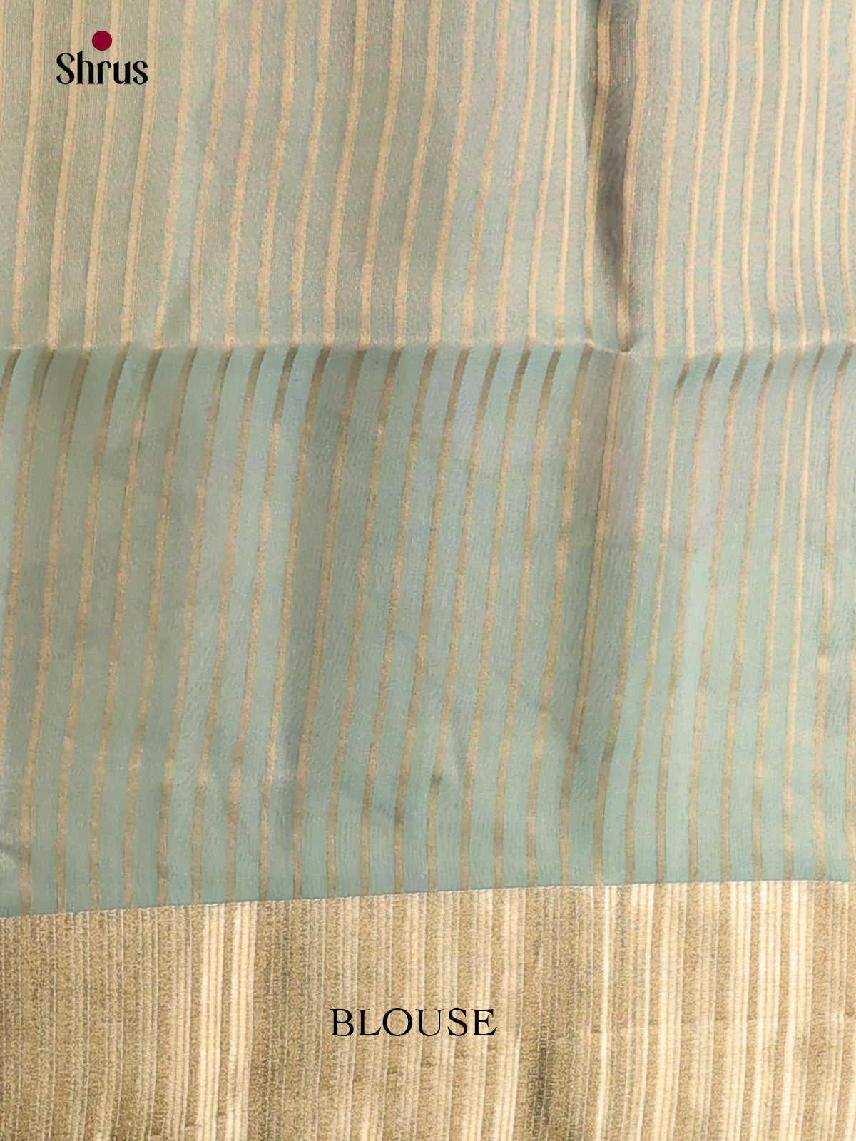 Pastel Green- Semi Organza Saree