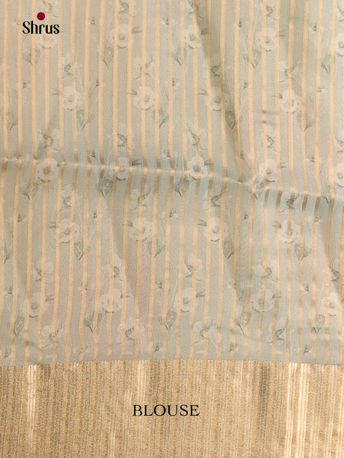 Grey Green - Semi Organza Saree