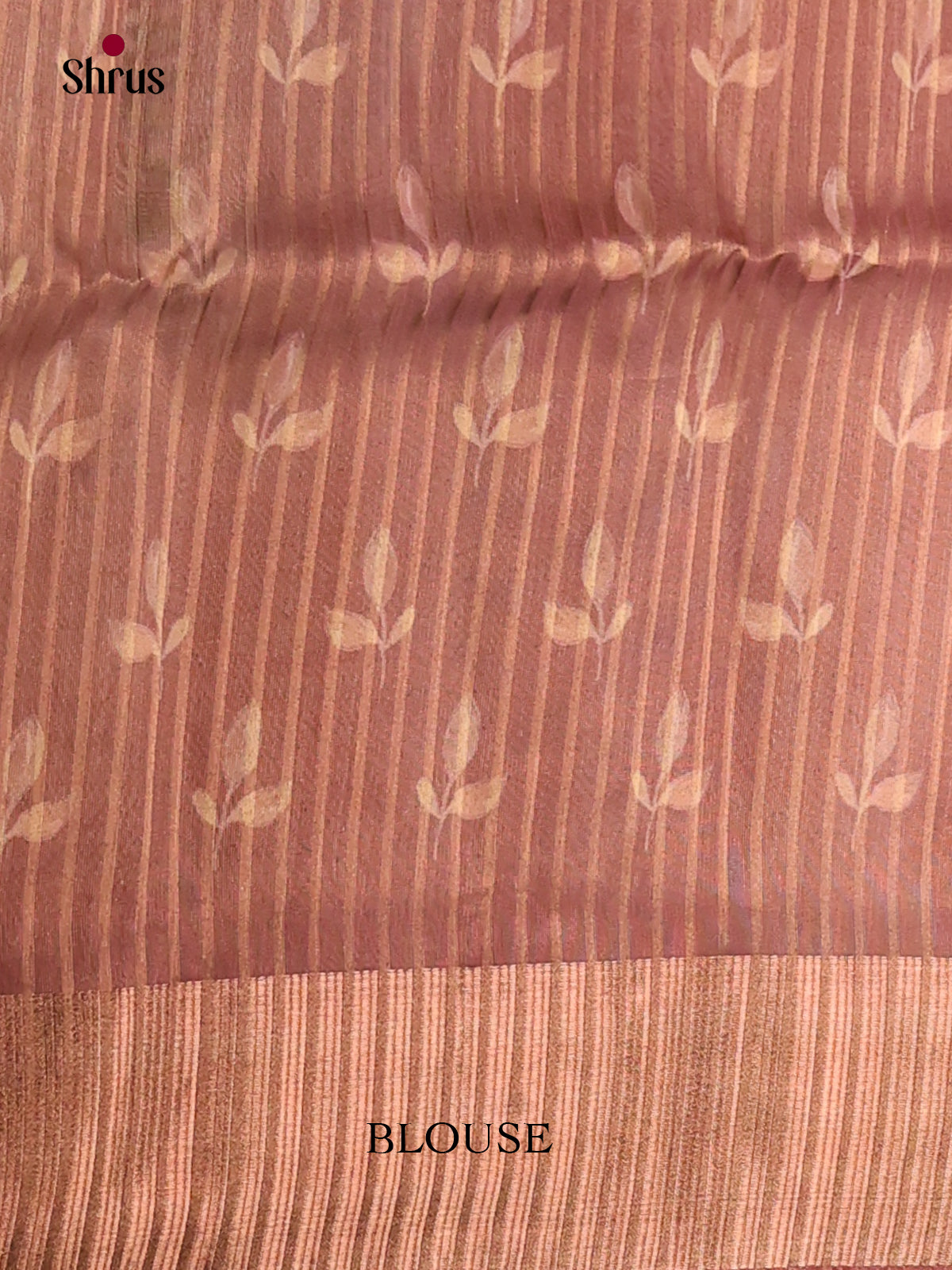 Dusty Brown - Semi Organza Saree - Shop on Shrus.com