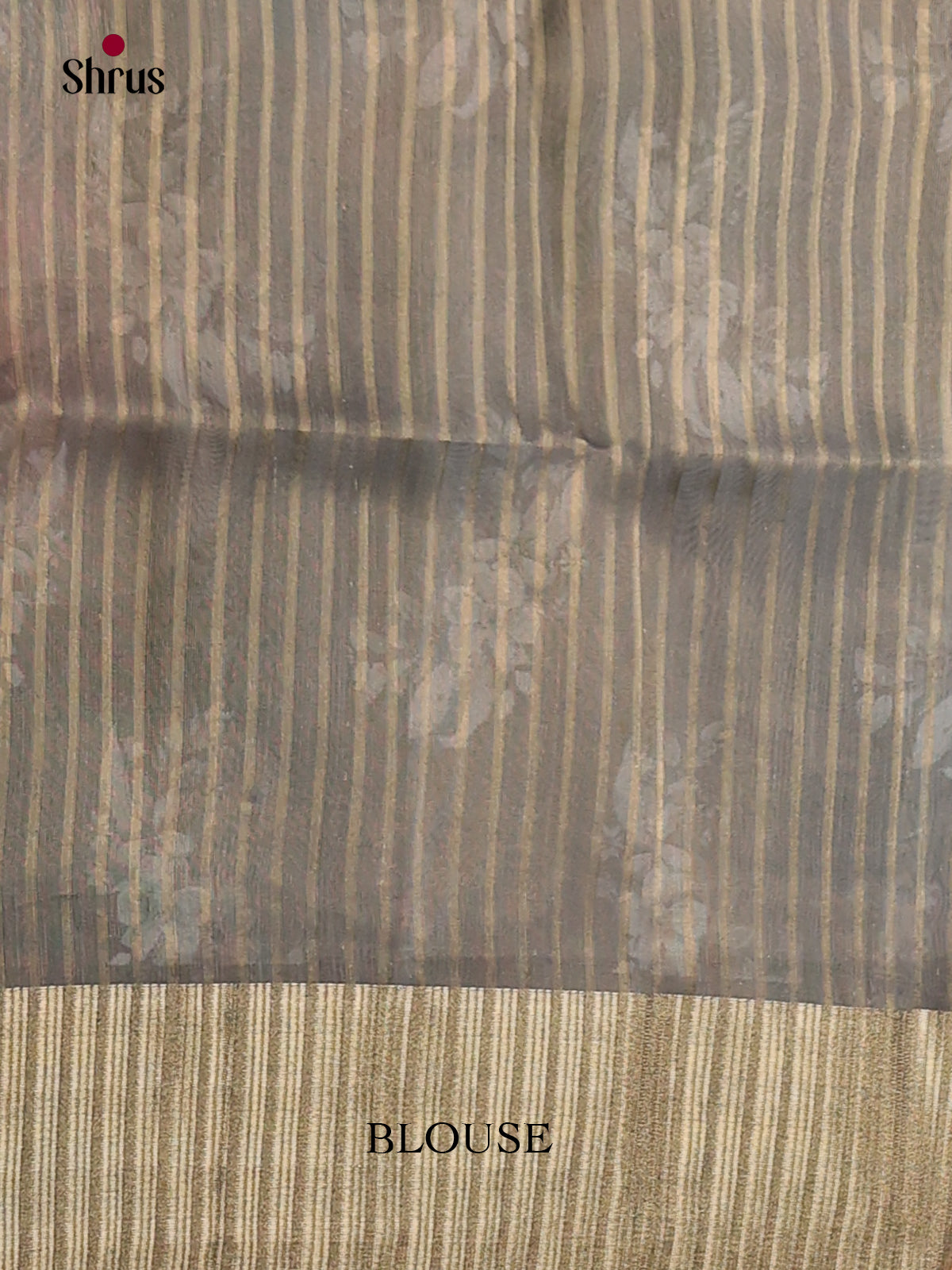 Blue & Grey - Semi Organza Saree