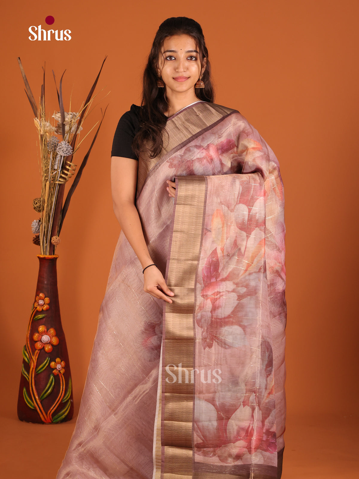 Brown - Semi Organza Saree