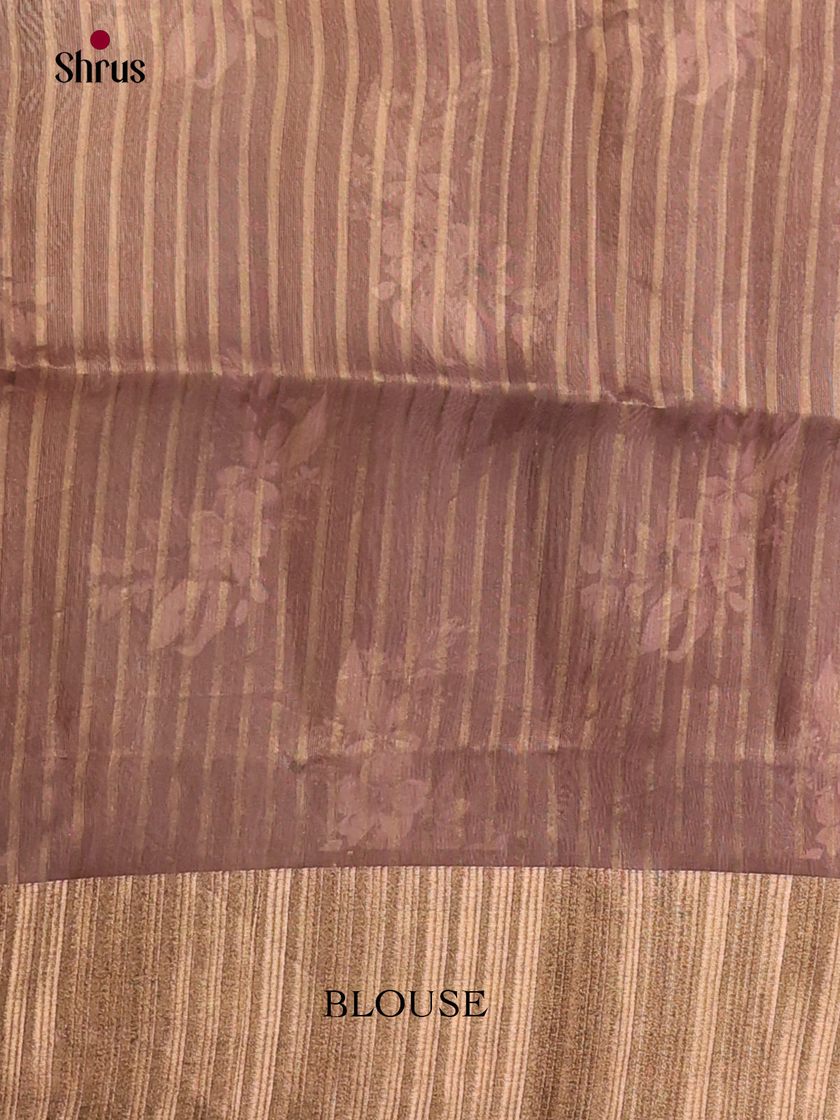 Brown - Semi Organza Saree