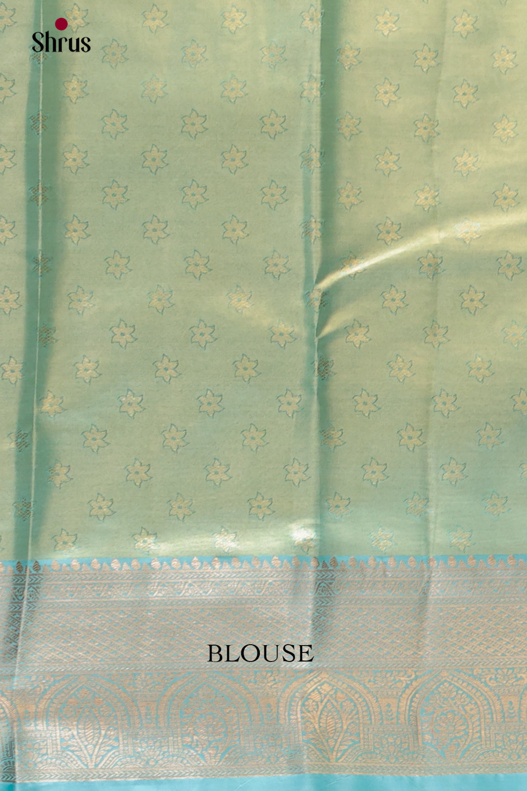 Brown & Blue - Kanchipuram-halfpure Saree