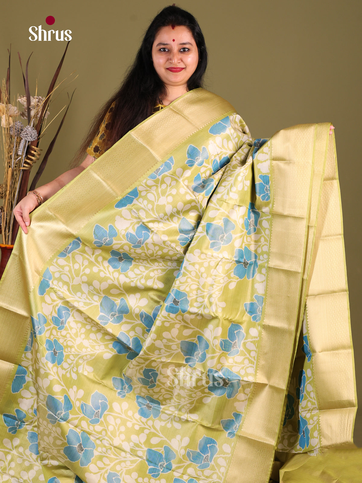Light Green & Blue - Kanchipuram-halfpure Saree 1