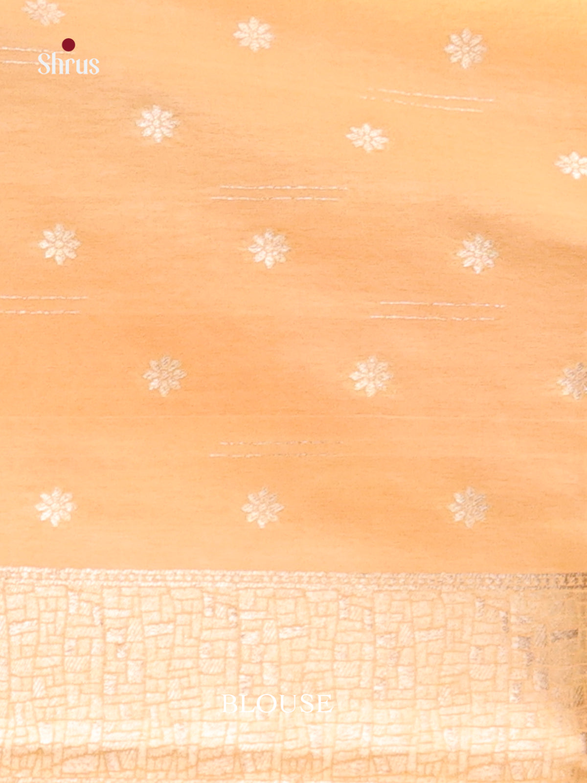 full yellow North Silk Cotton Saree 1