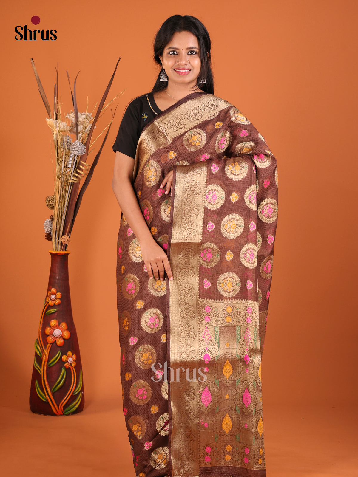 brown gold North Silk Cotton Saree